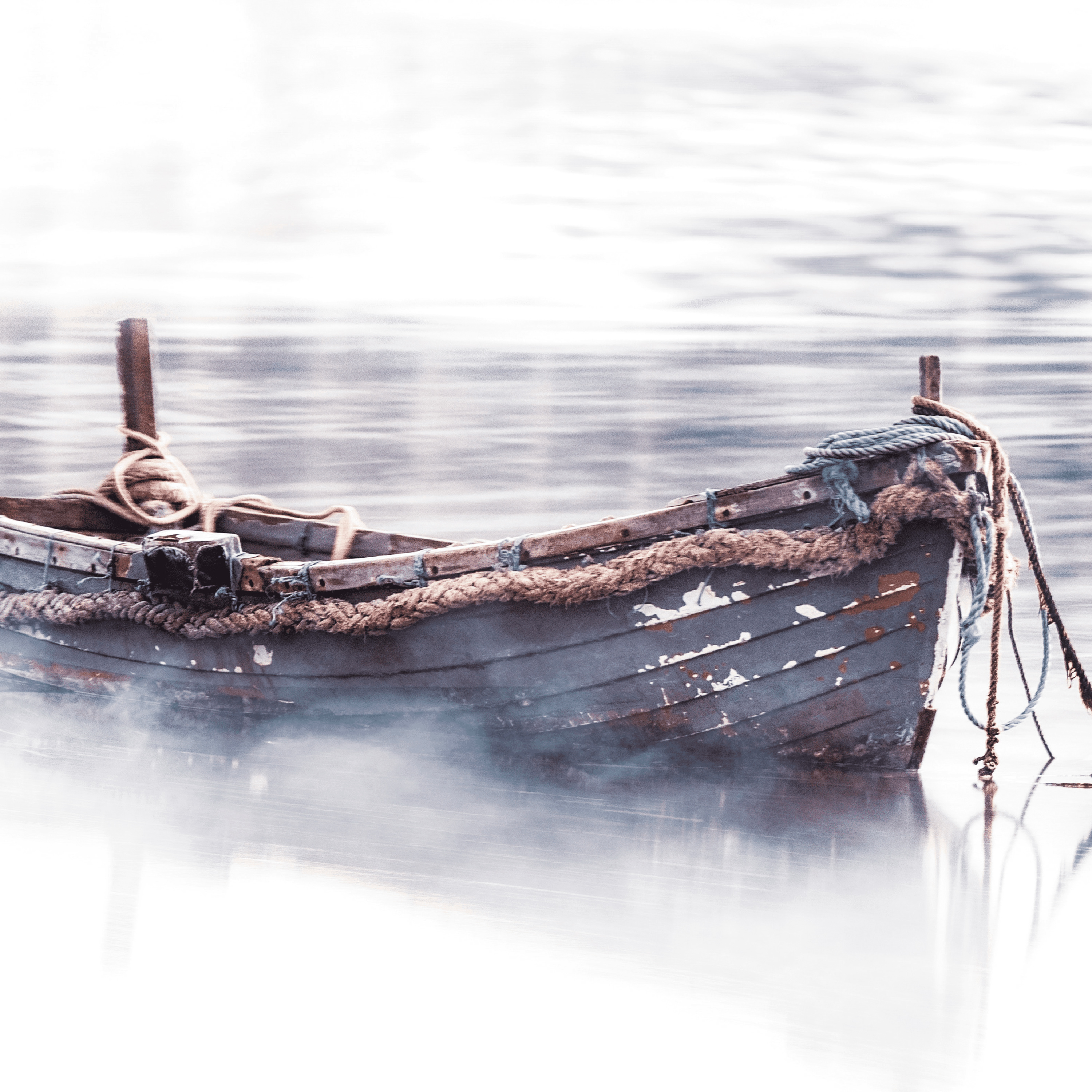 Voyage Of The S.S. Eldritch