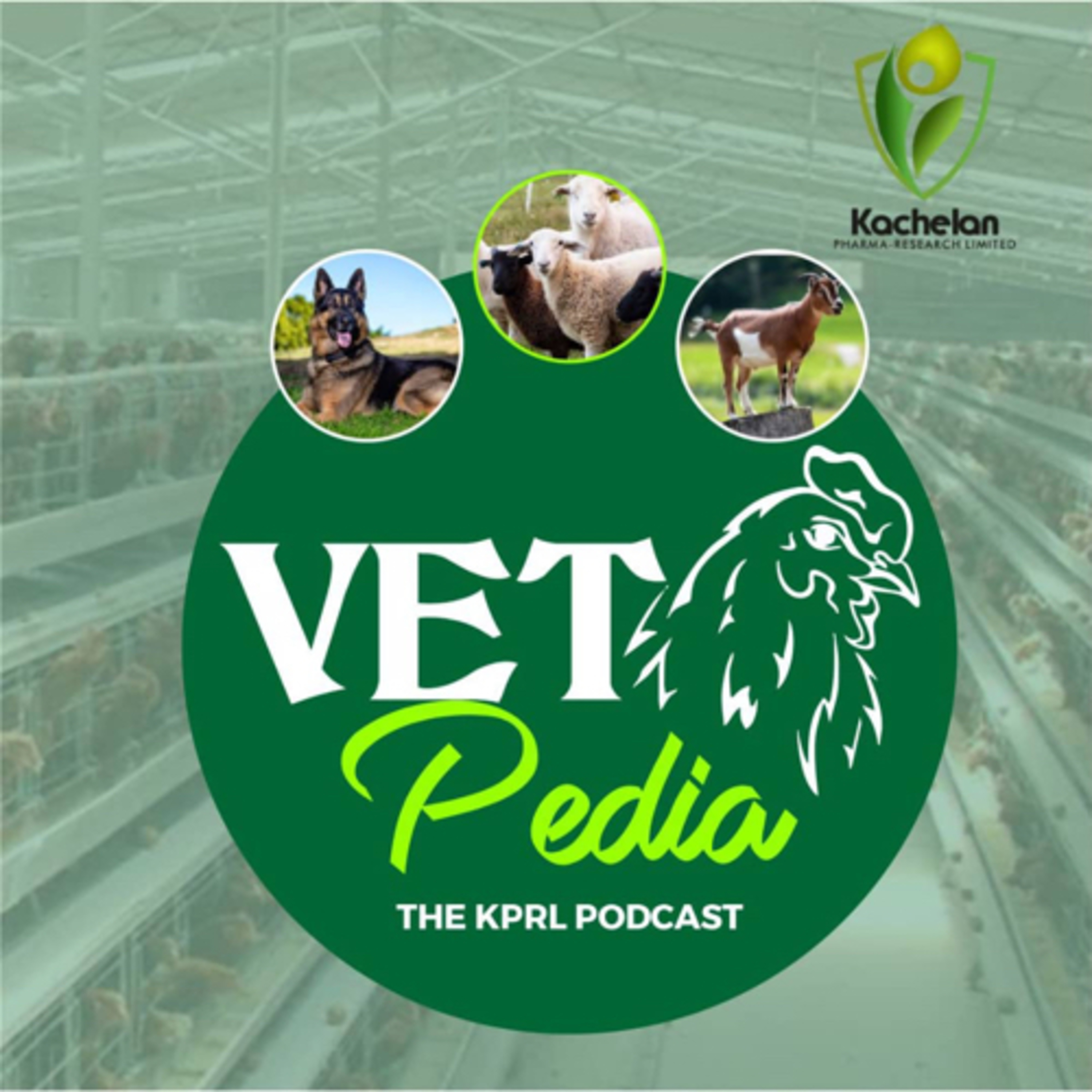 The Vetpedia podcast artwork