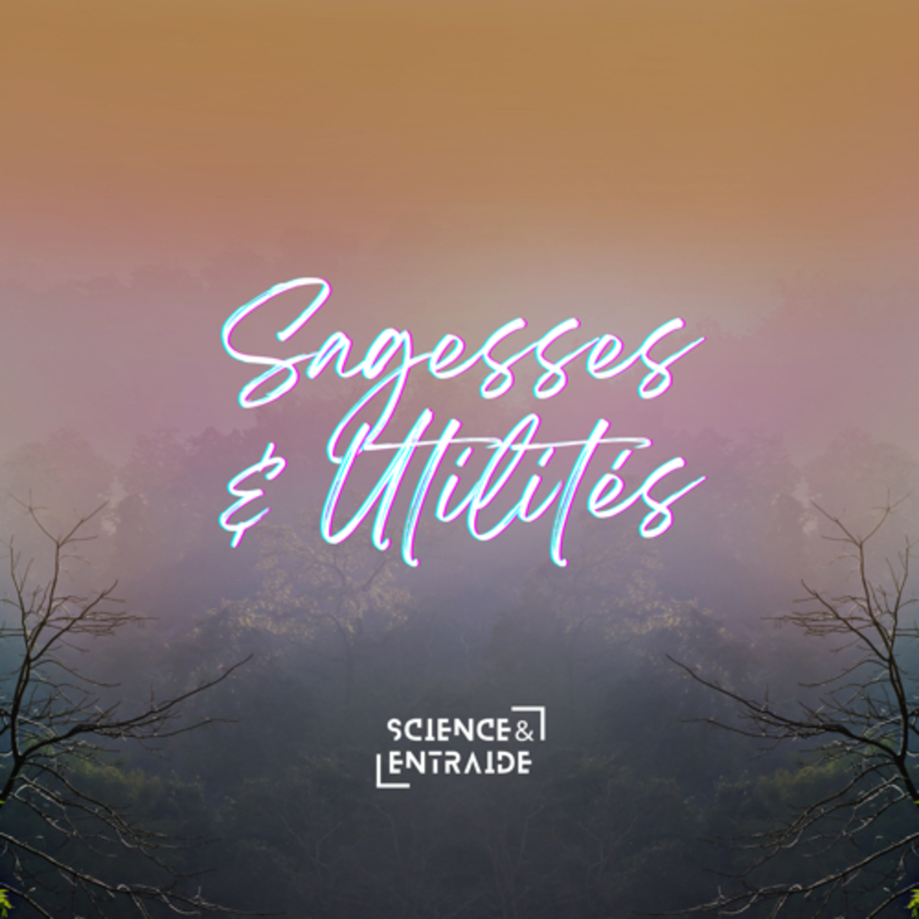 Sagesses et Utilités