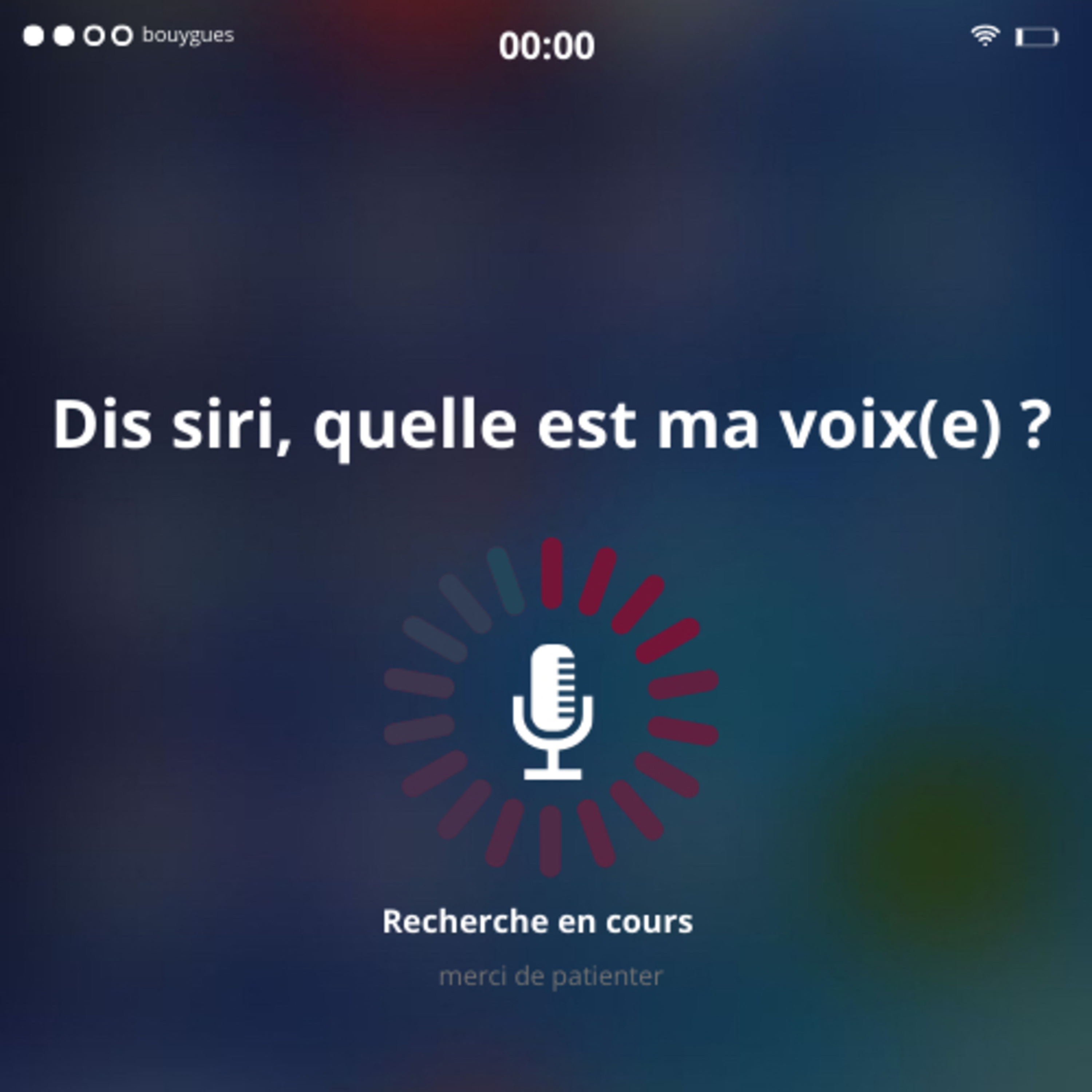 Voix Singulière