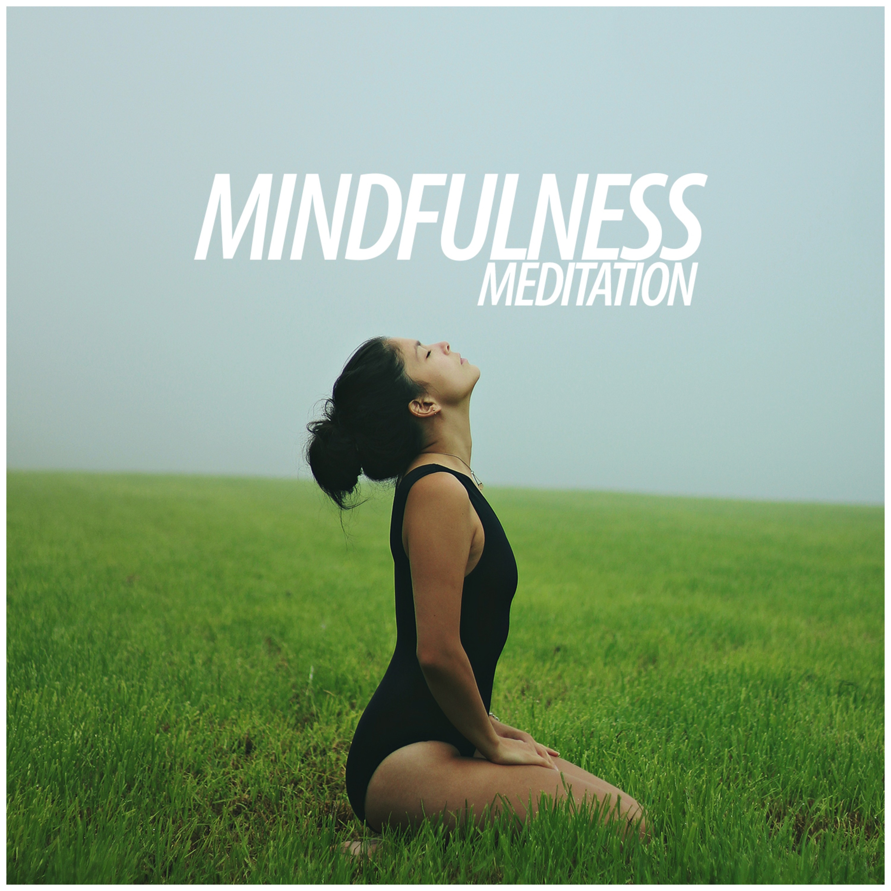 cover of episode SLEEP MEDITATION - Healing Singing Bowls (Sleep Trigger)