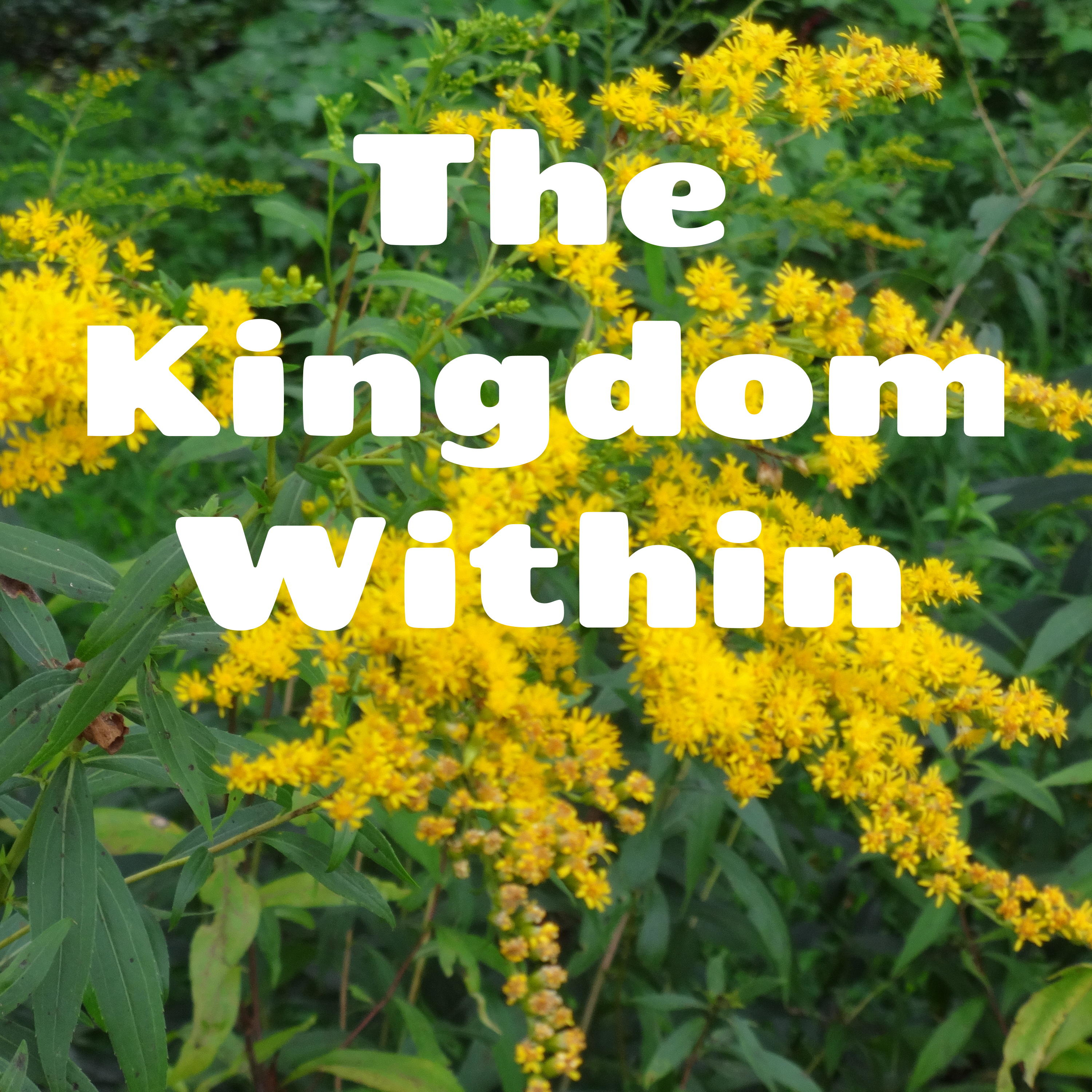 The Kingdom Within