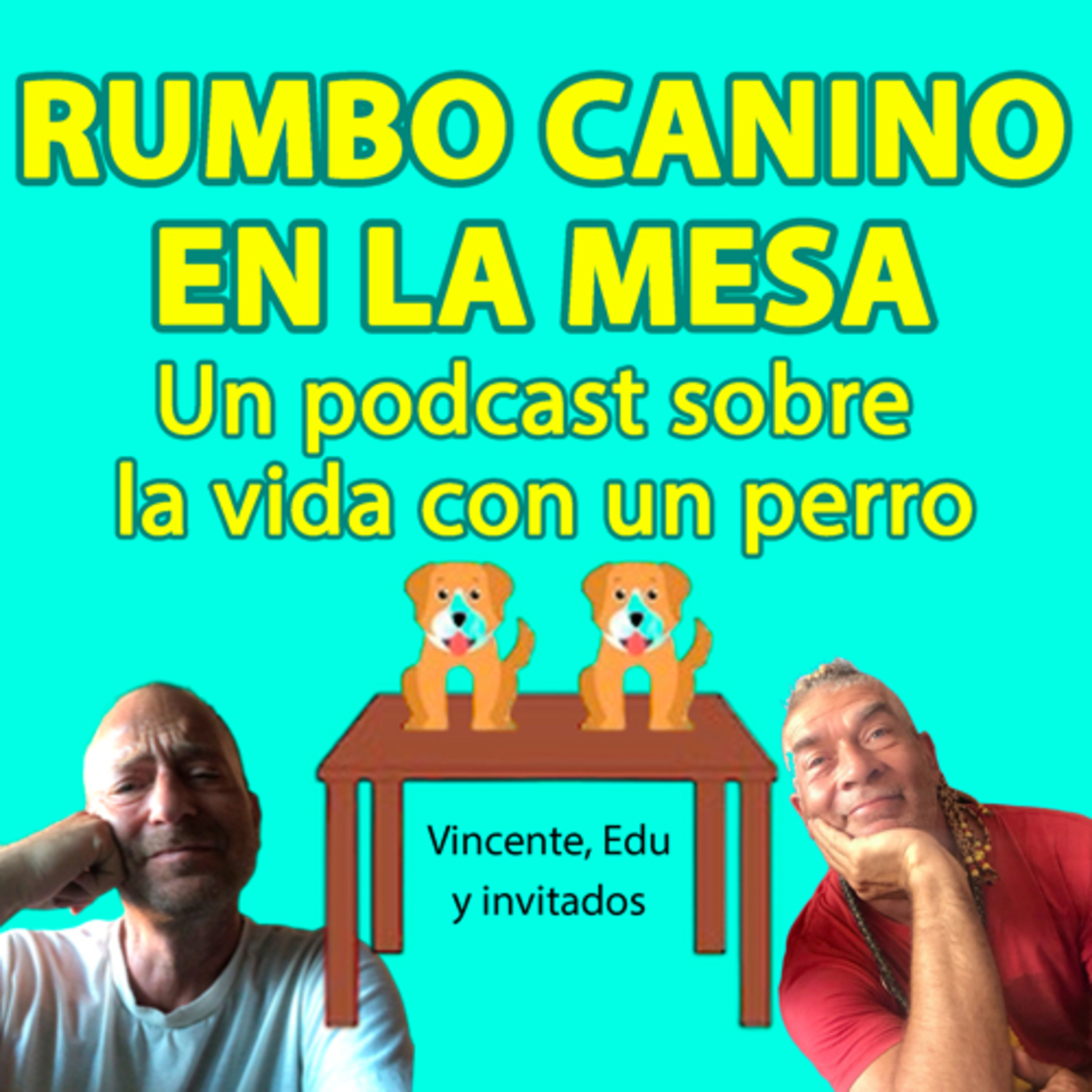 Rumbo canino en la mesa