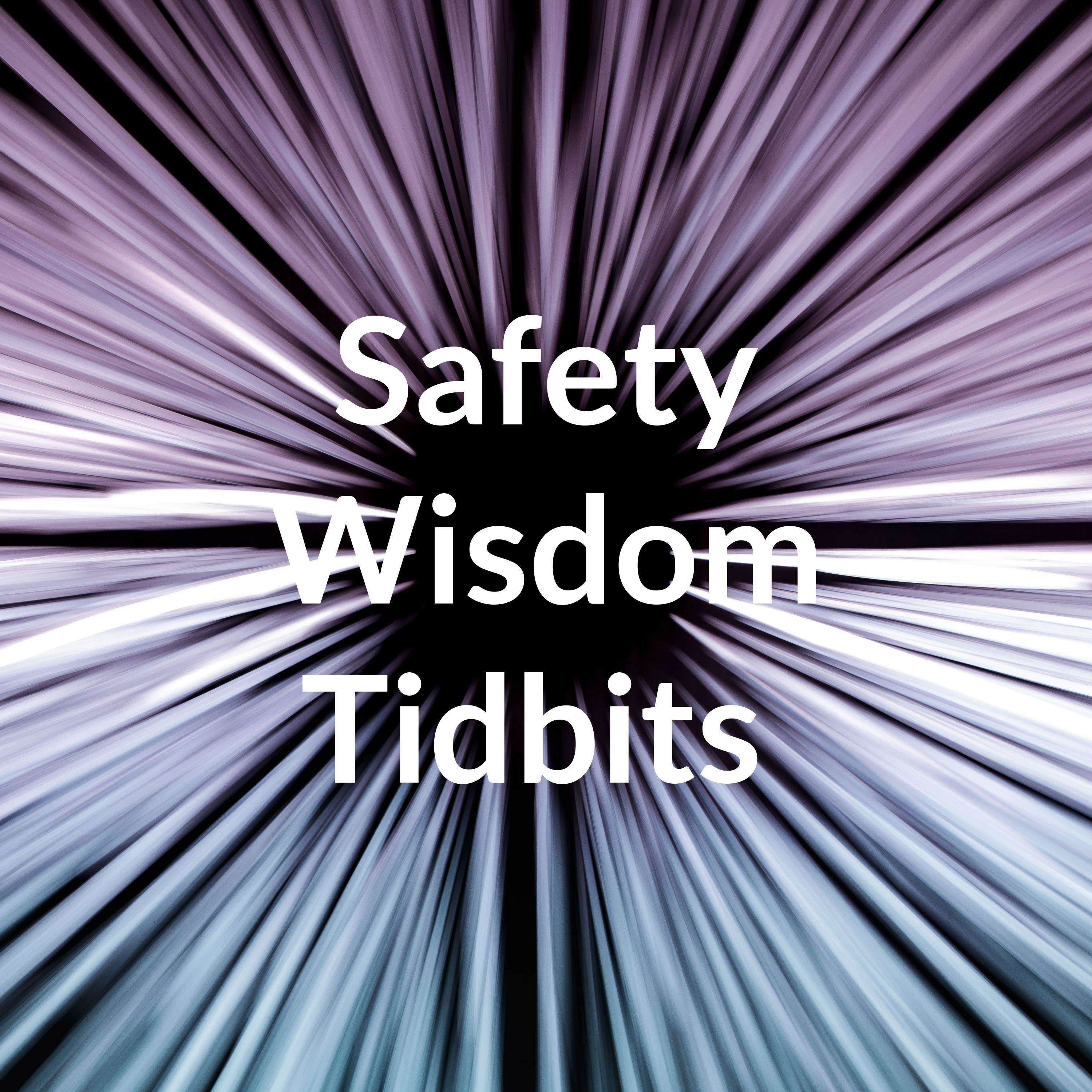 Safety Wisdom Tidbits podcast artwork