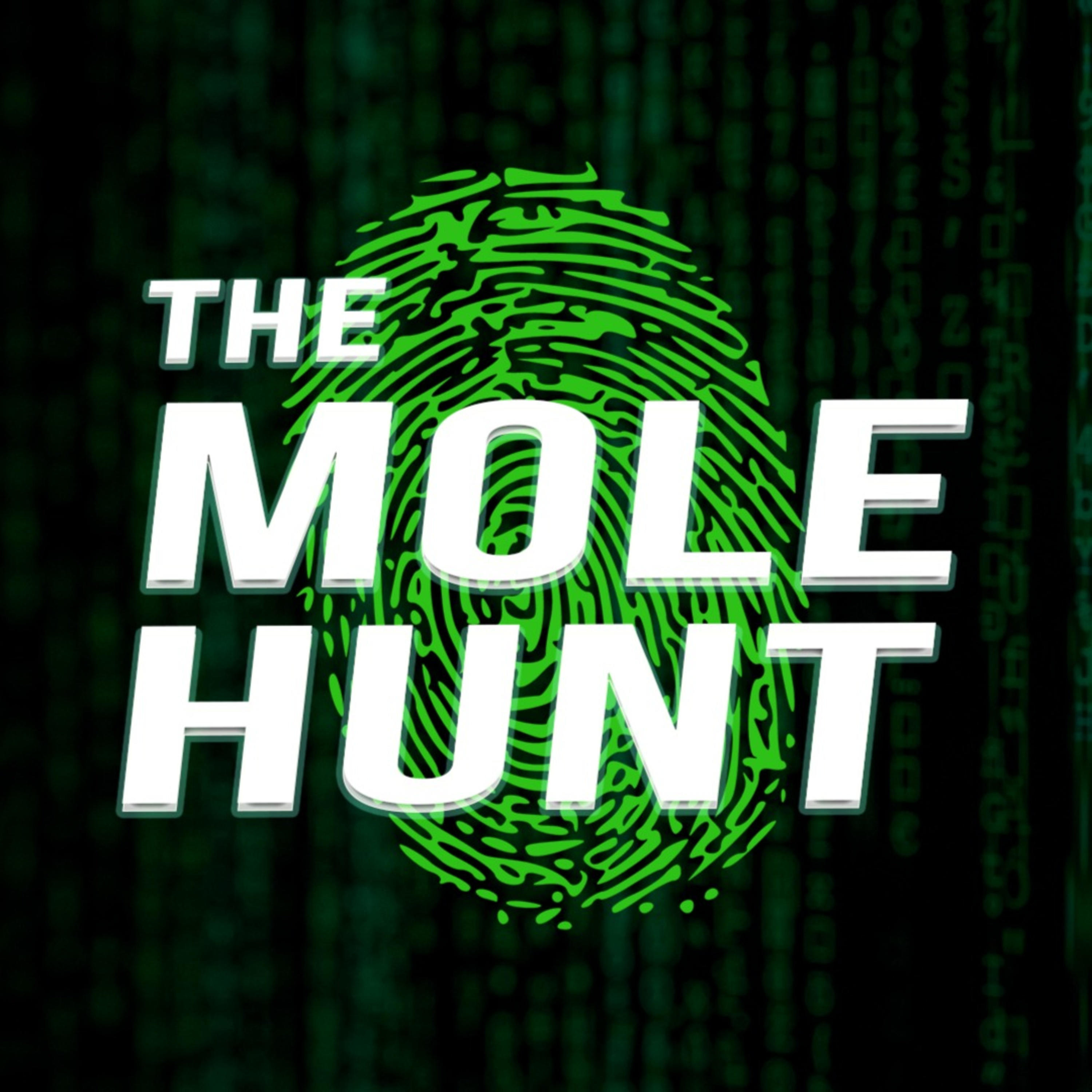The Mole Hunt podcast artwork