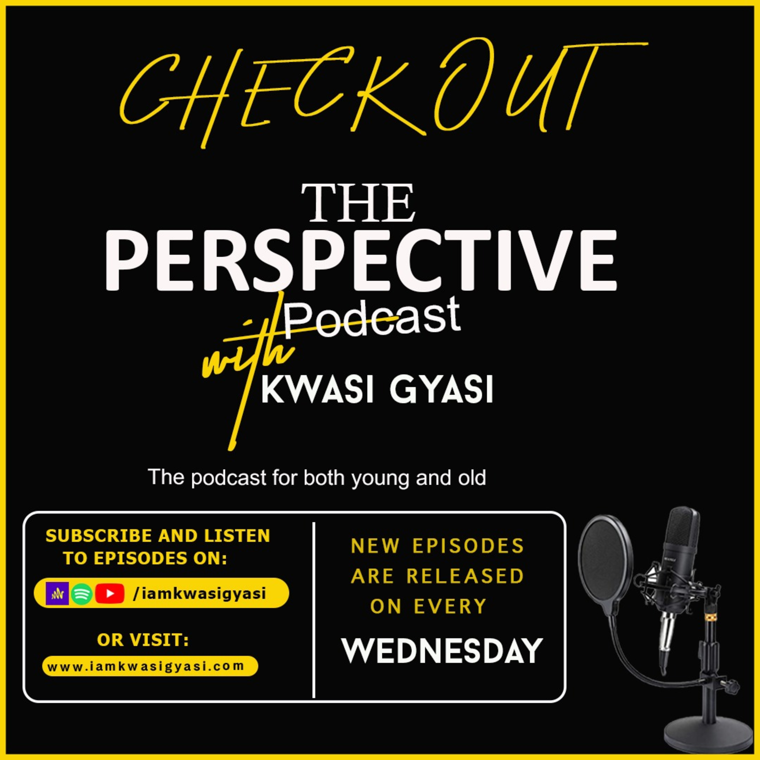 The Perspective Podcast podcast artwork