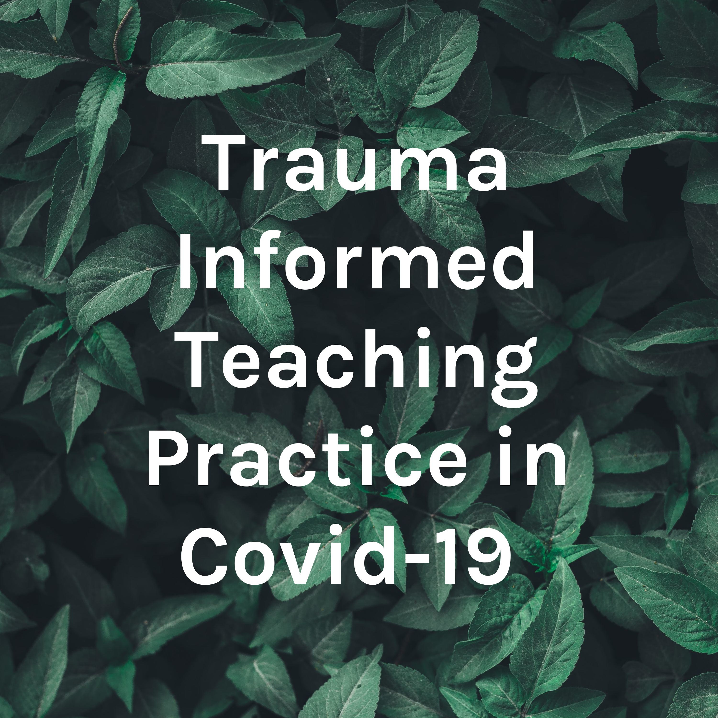 Trauma Informed Teaching Practice in Covid-19 