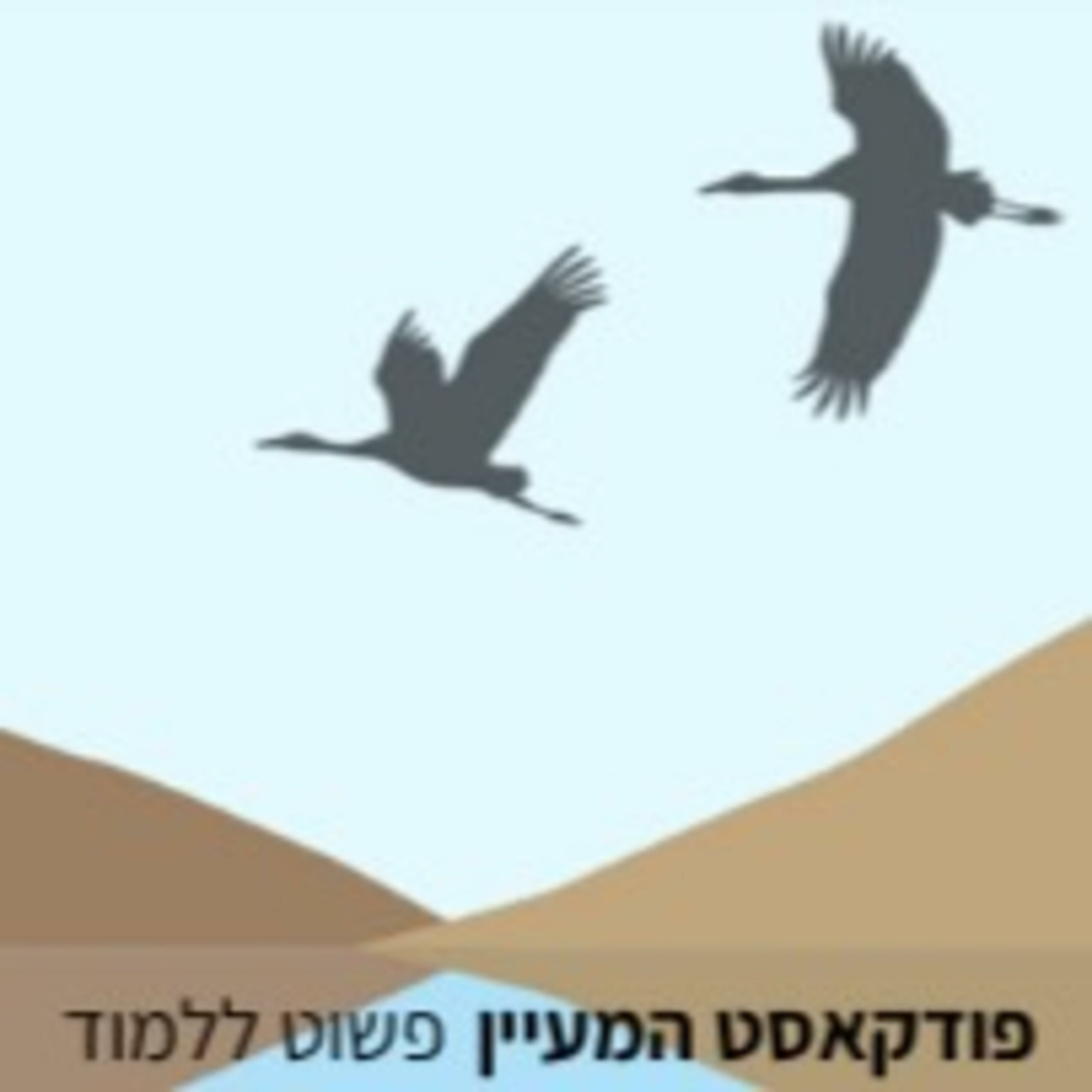 המעיין
