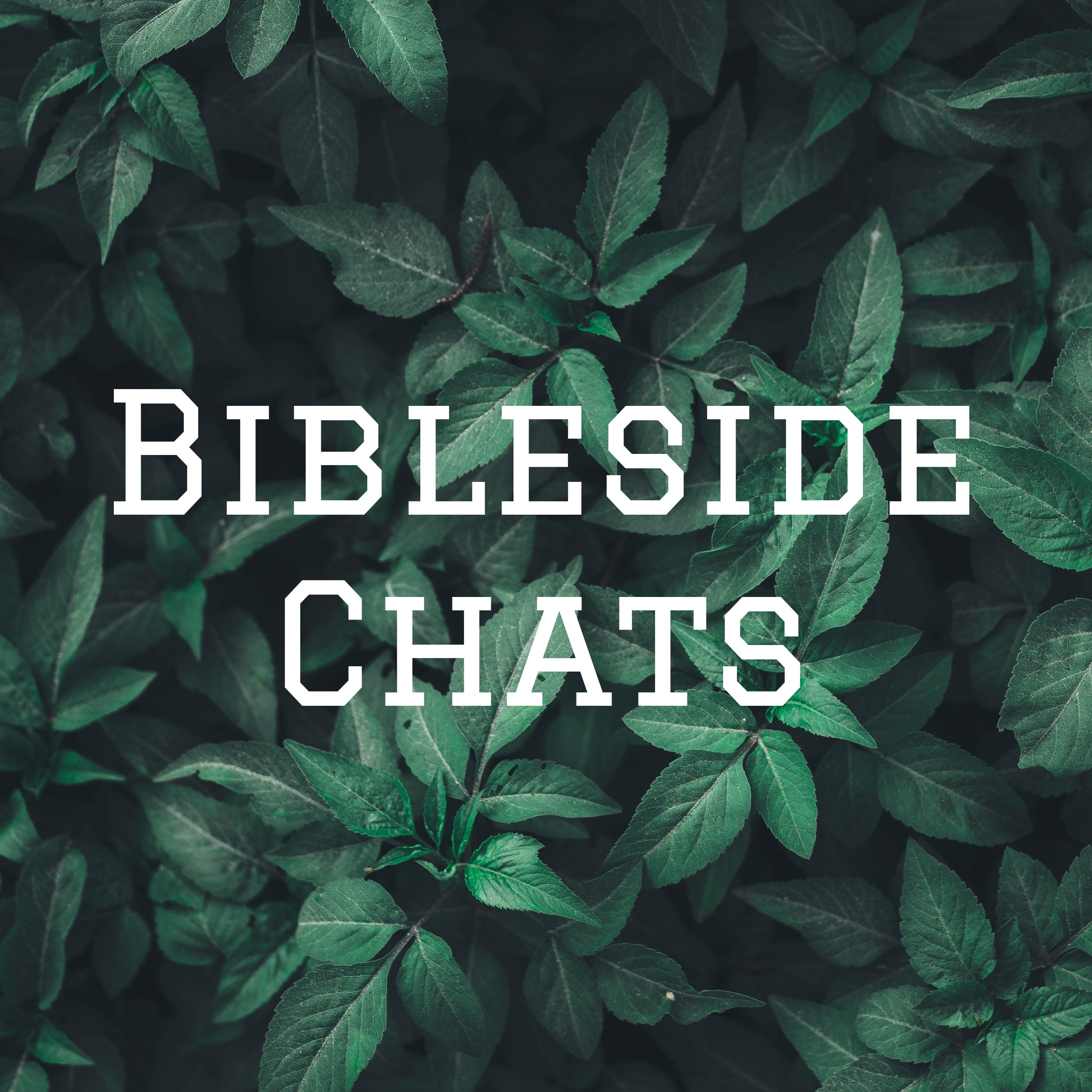 Bibleside Chats: Genesis