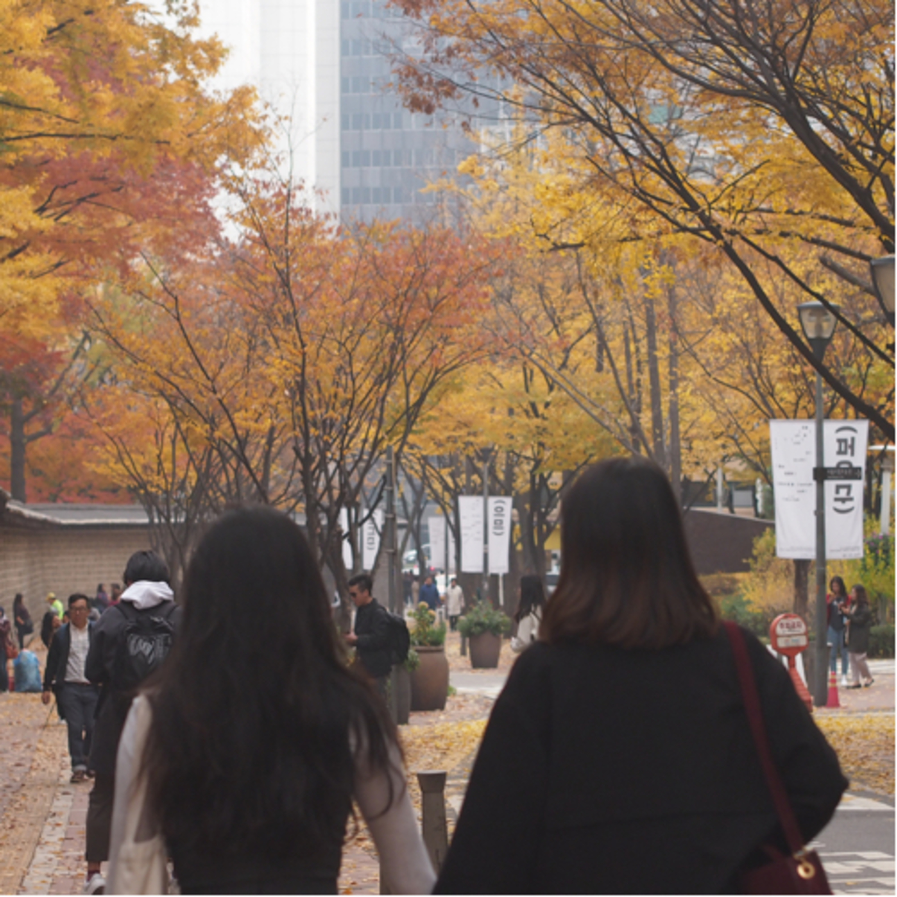 OnTrack (온트랙) cover art