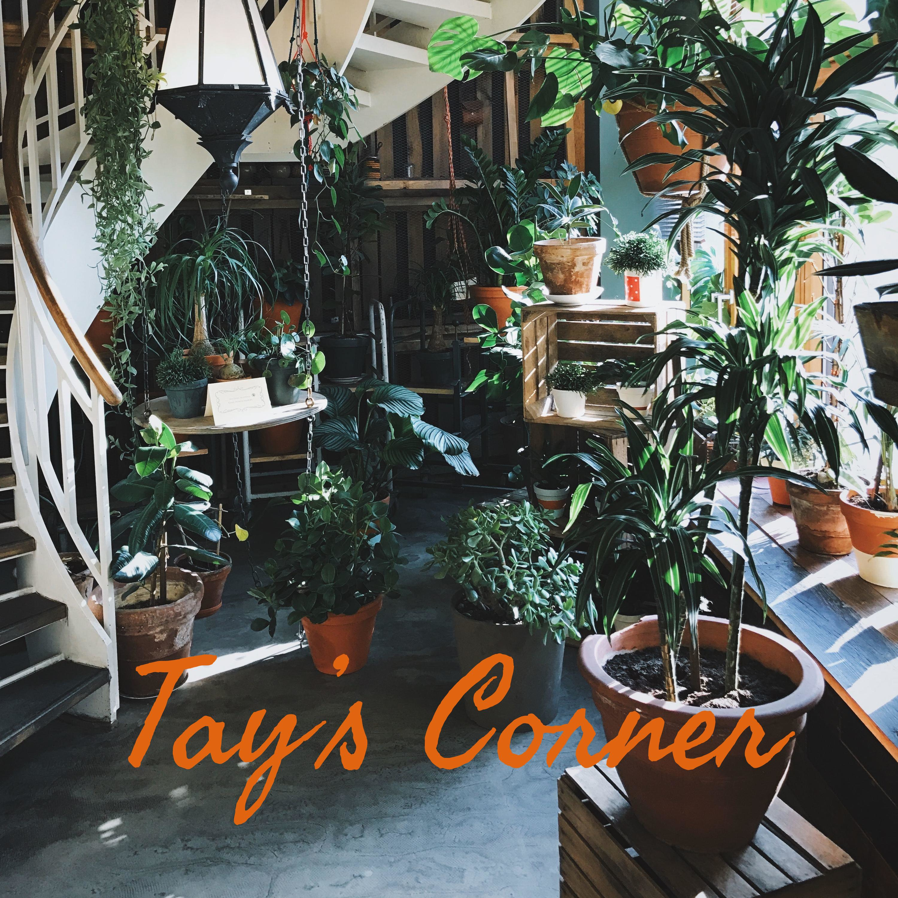 Tay's Corner