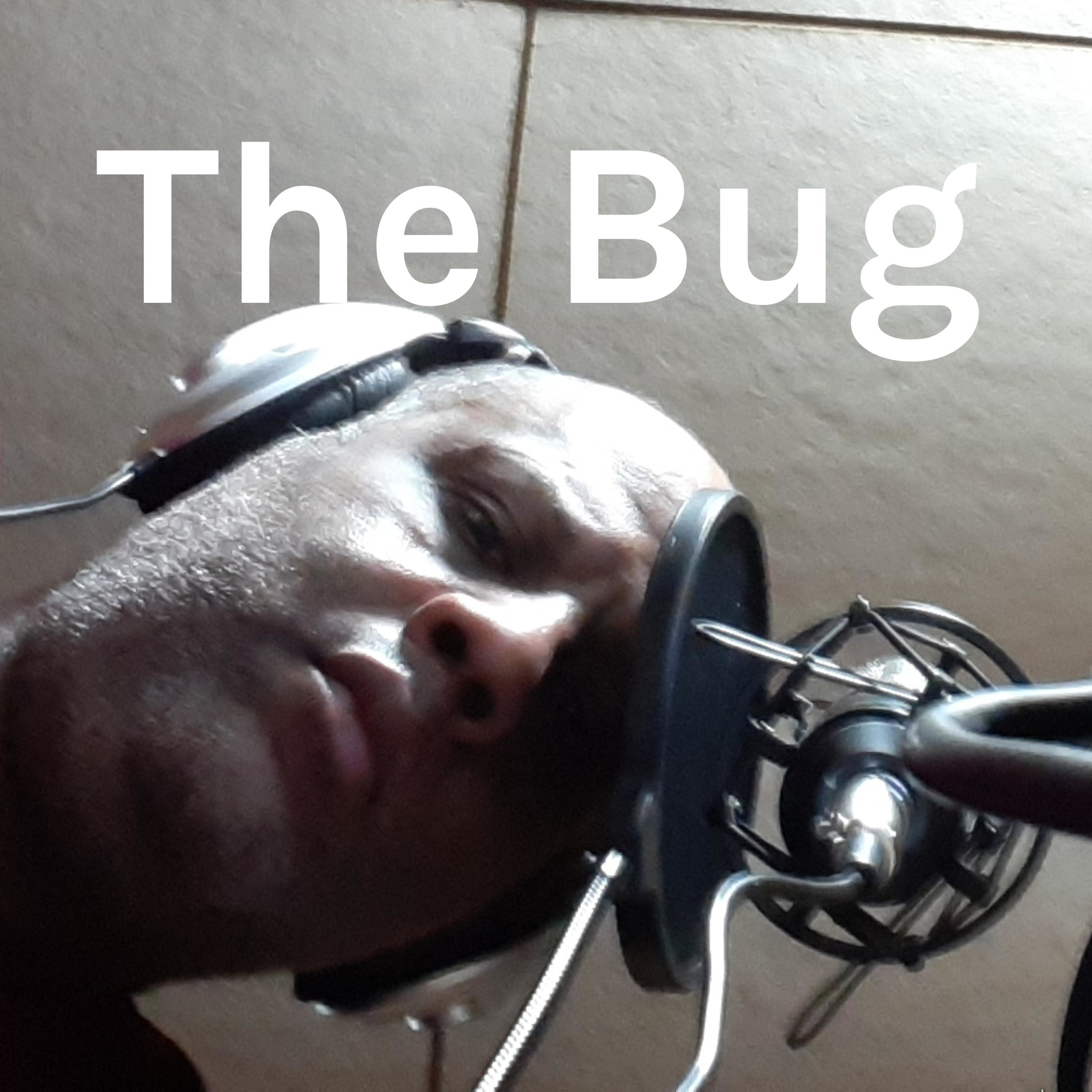The Bug