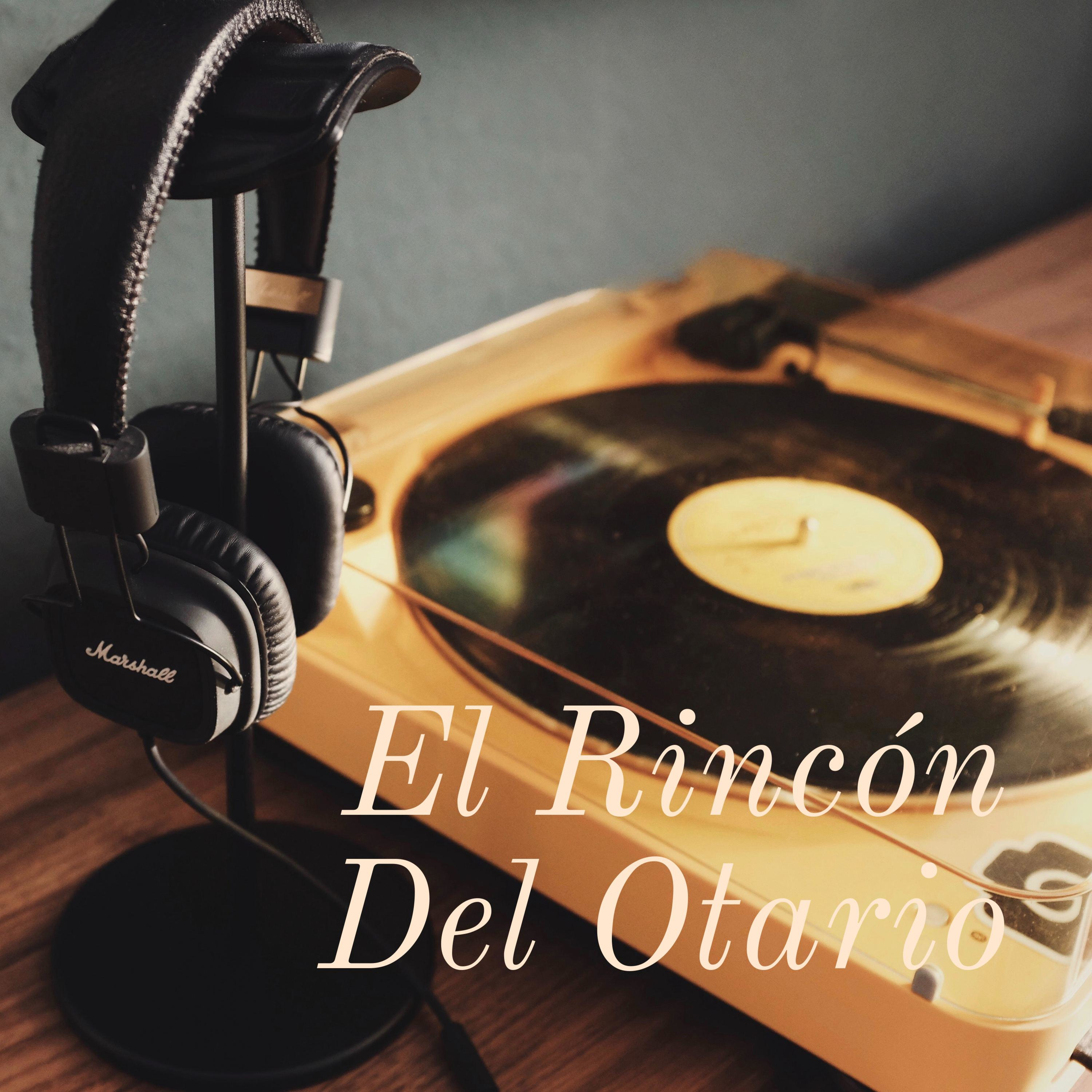 El Rincón Del Otario