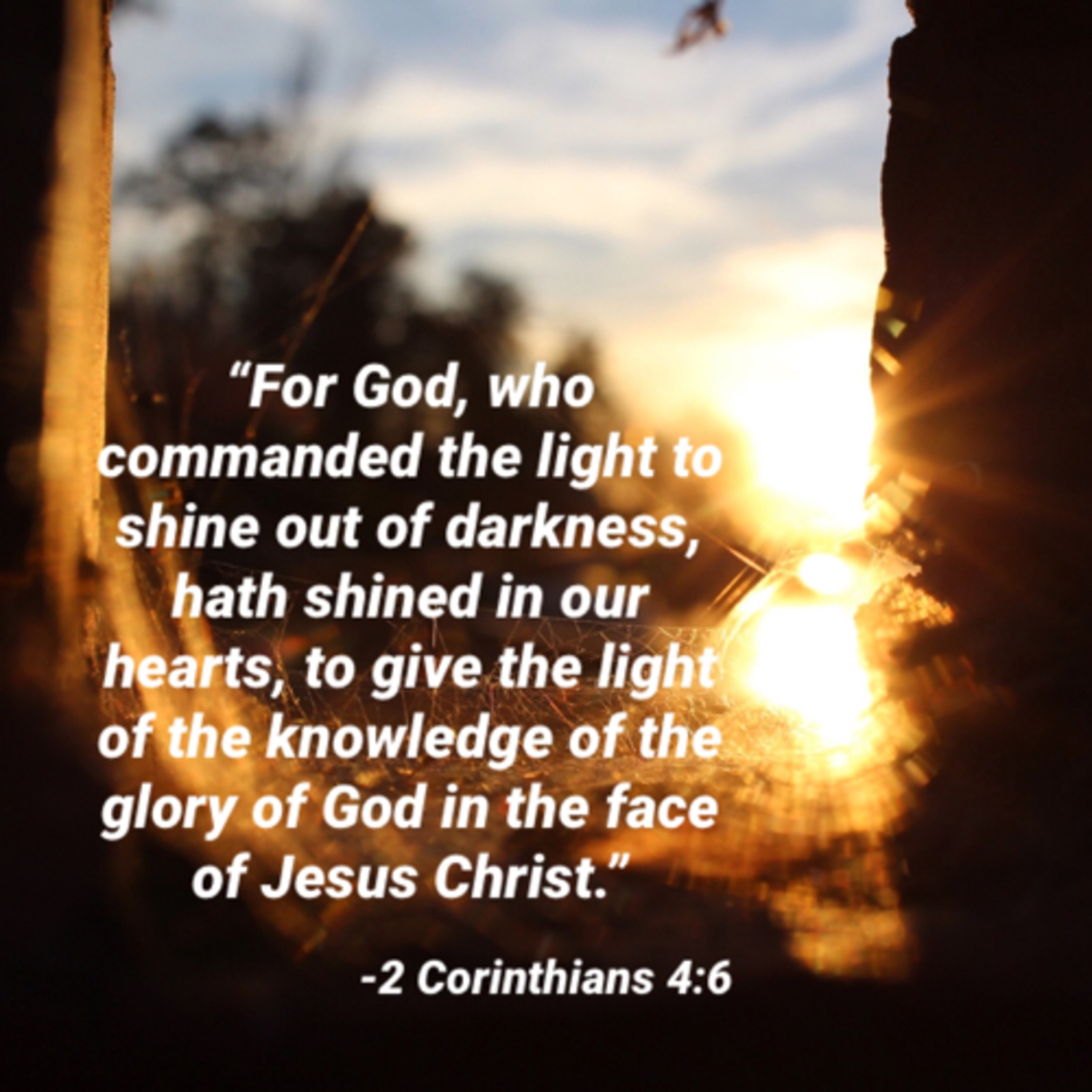 Pastor Dave Bentley - Bible Study