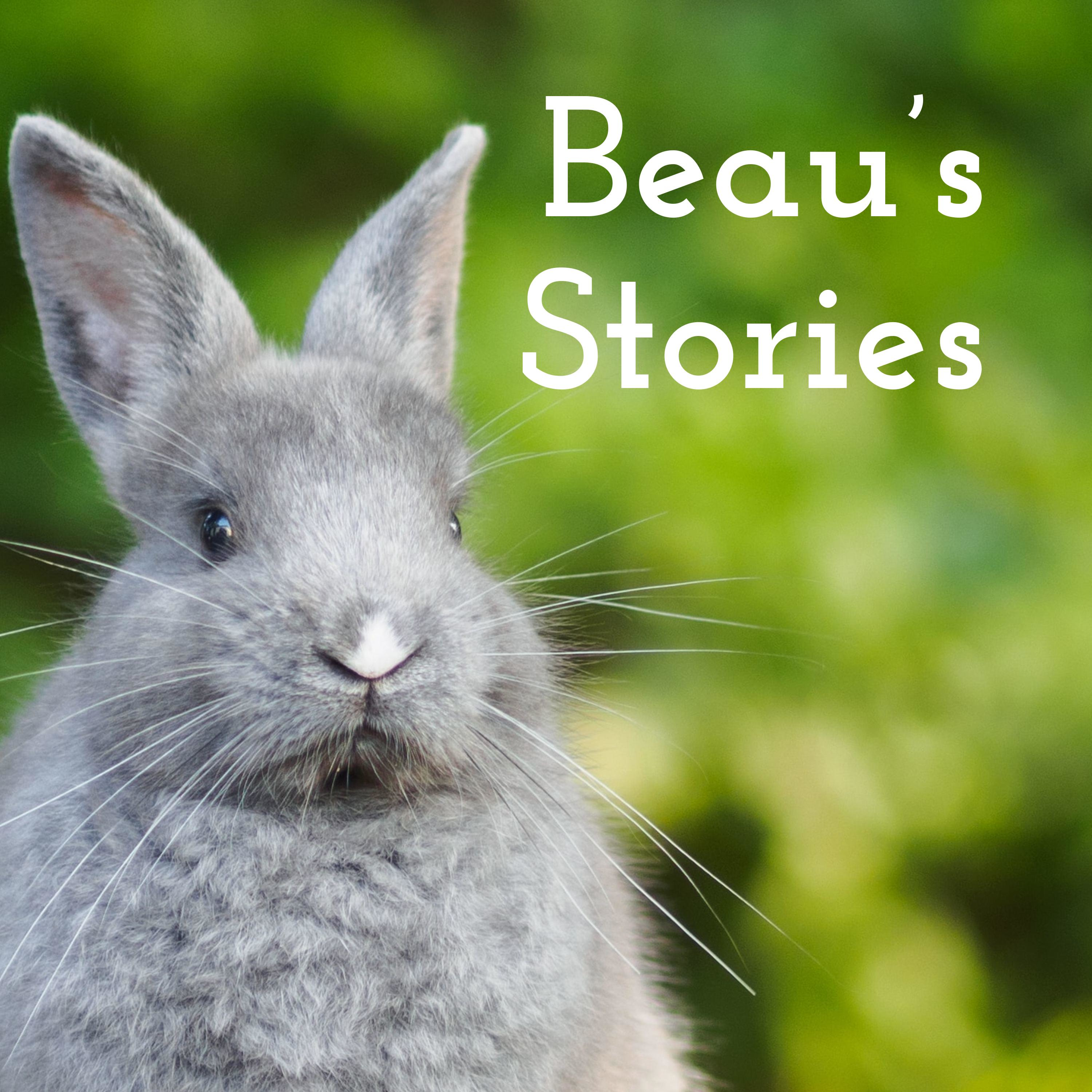 Beau\'s Stories