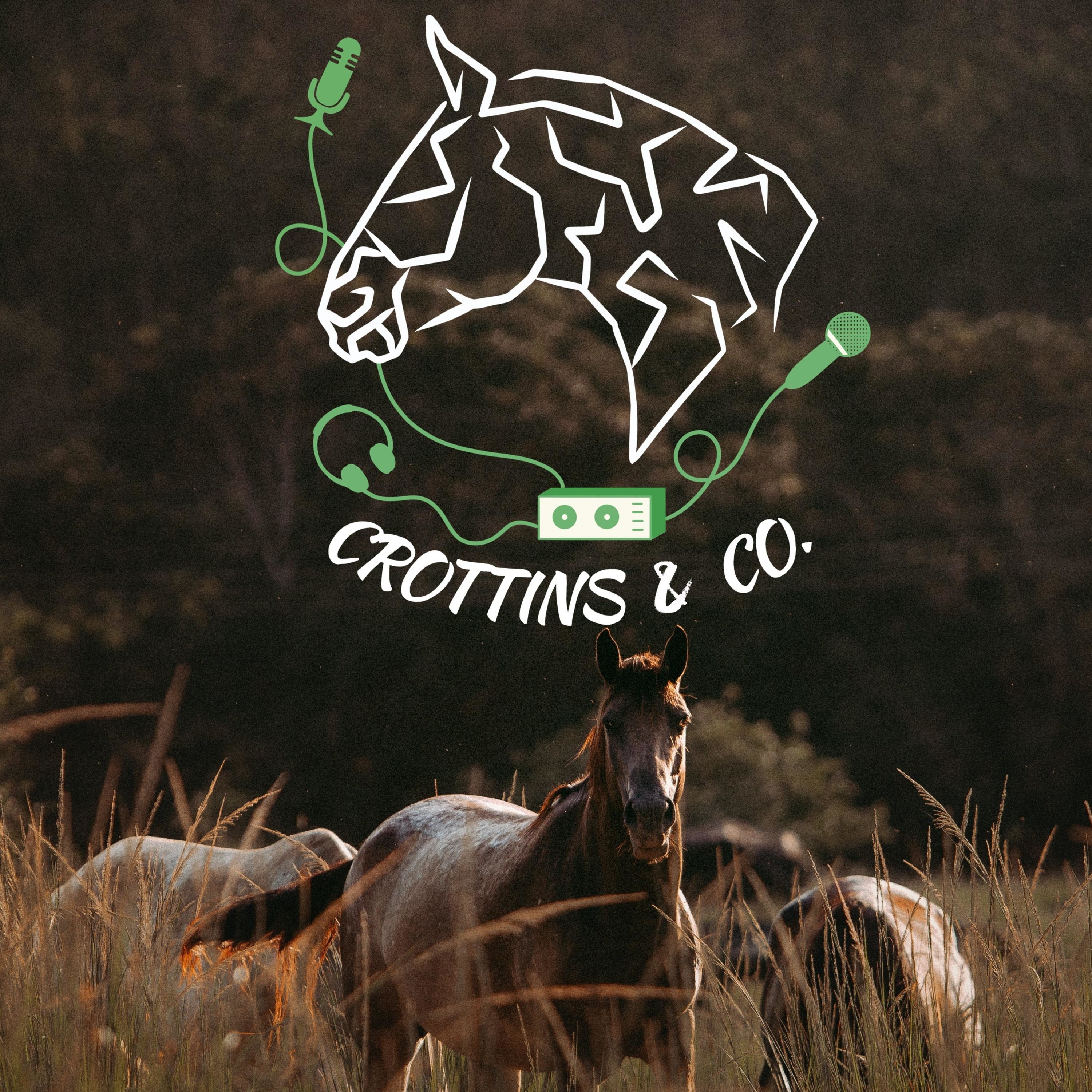 Crottins & Co. - Version audio