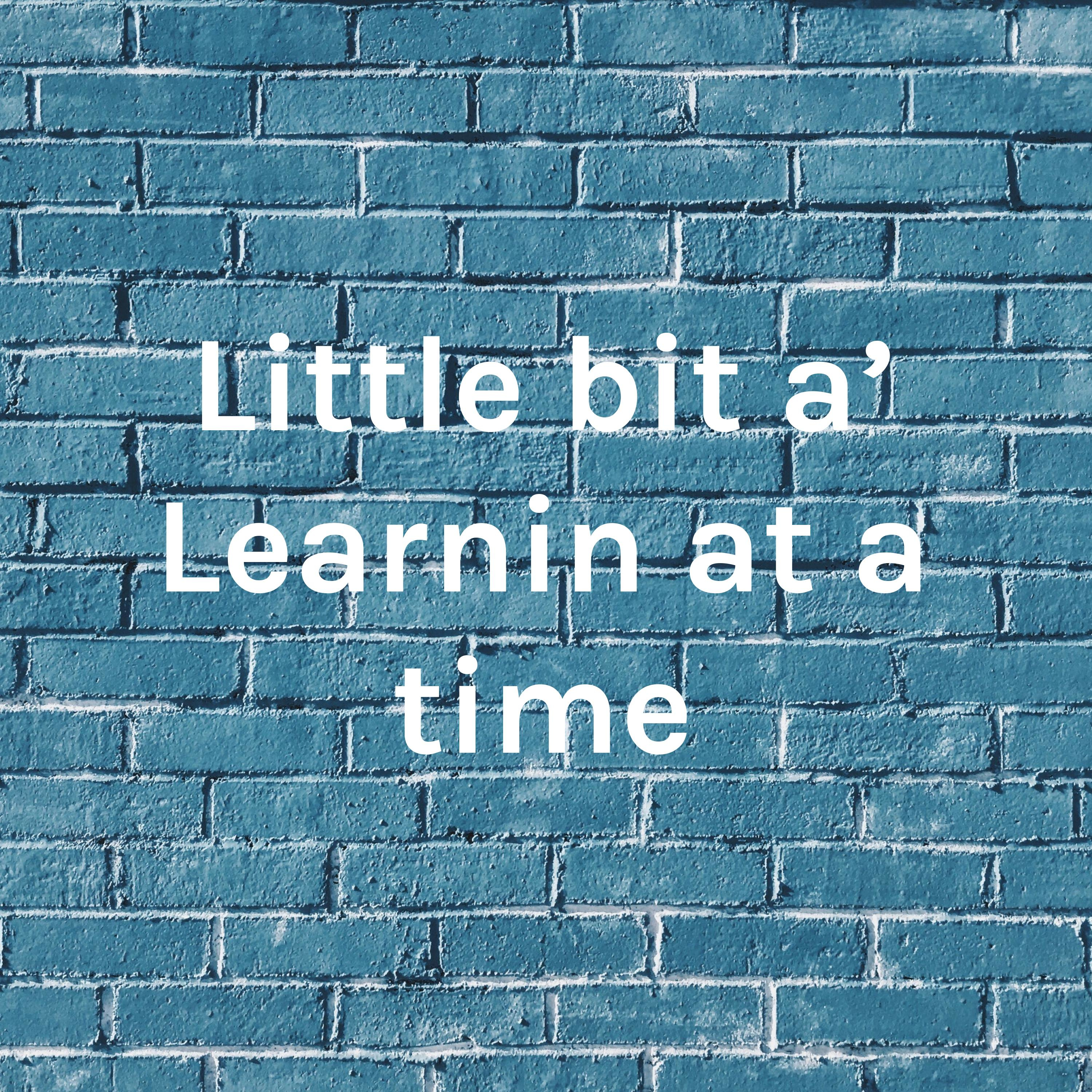 Little bit a' Learnin at a time