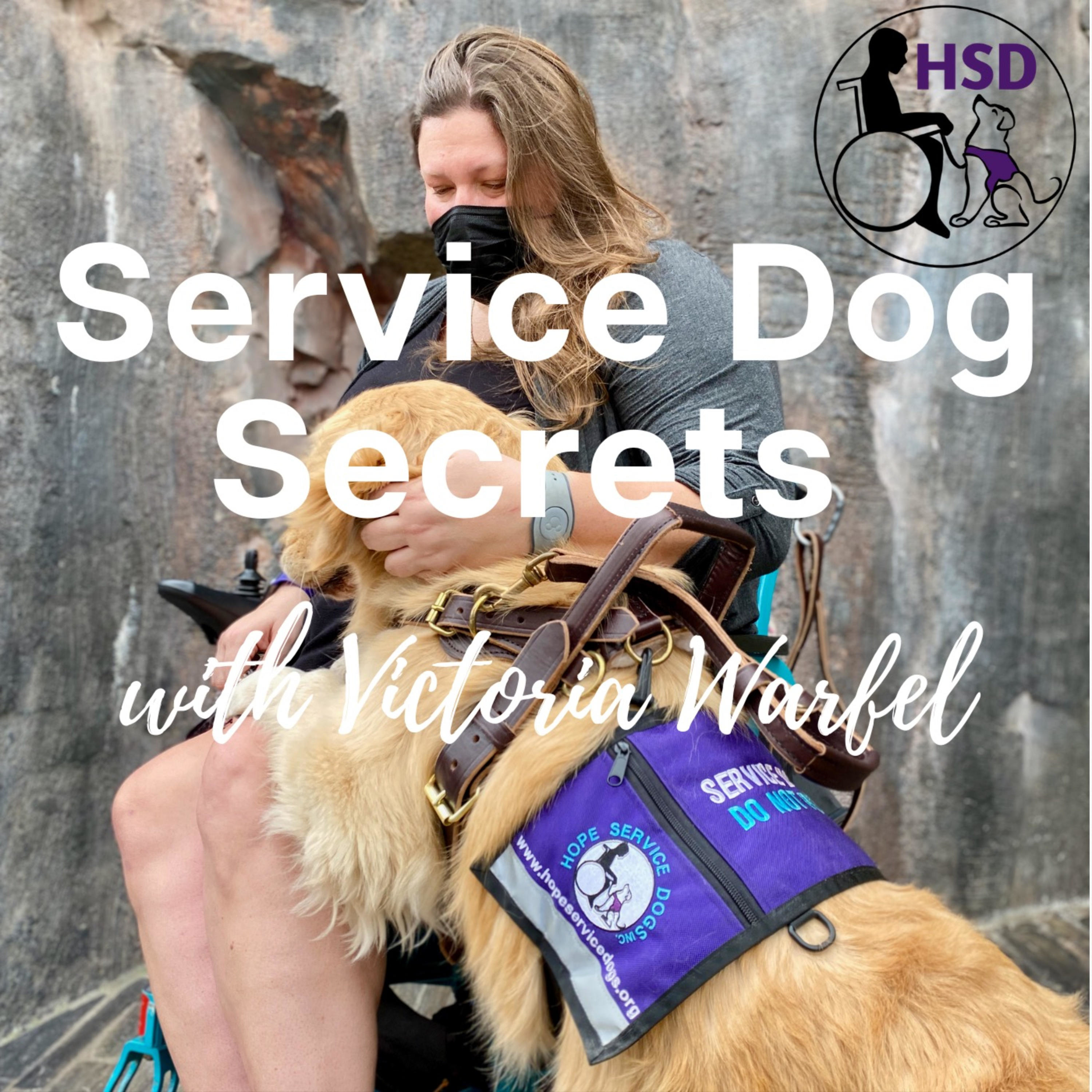 Starting Public Access with your Service Dog