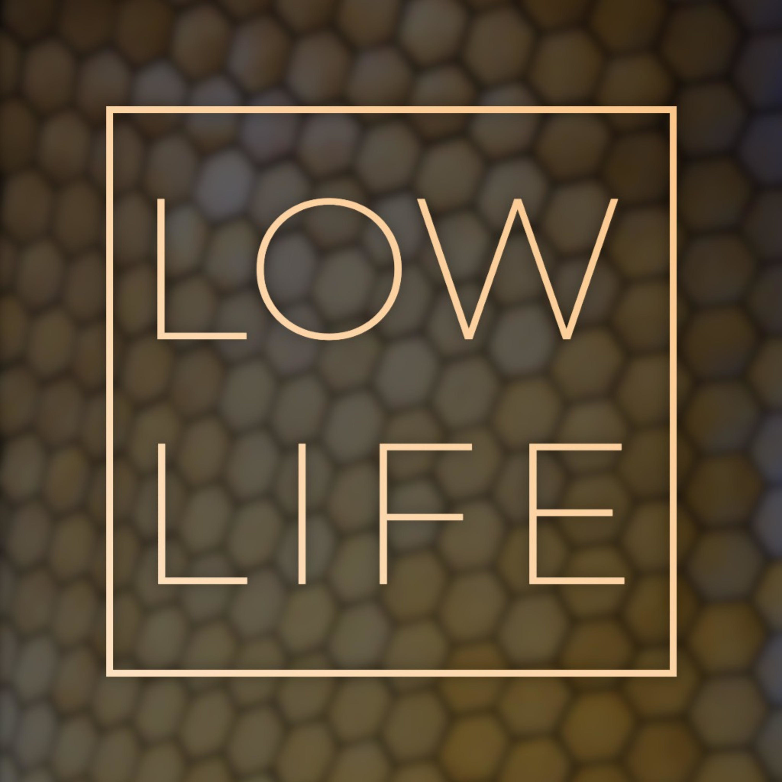 LOW LIFE