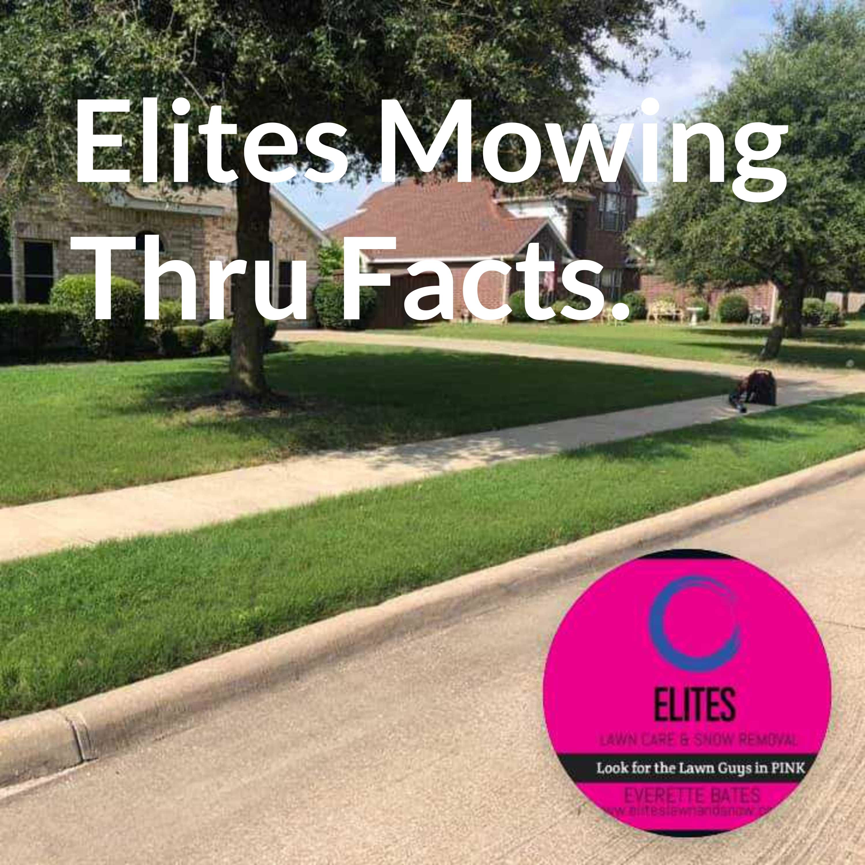 Elites Mowing Thru Facts.