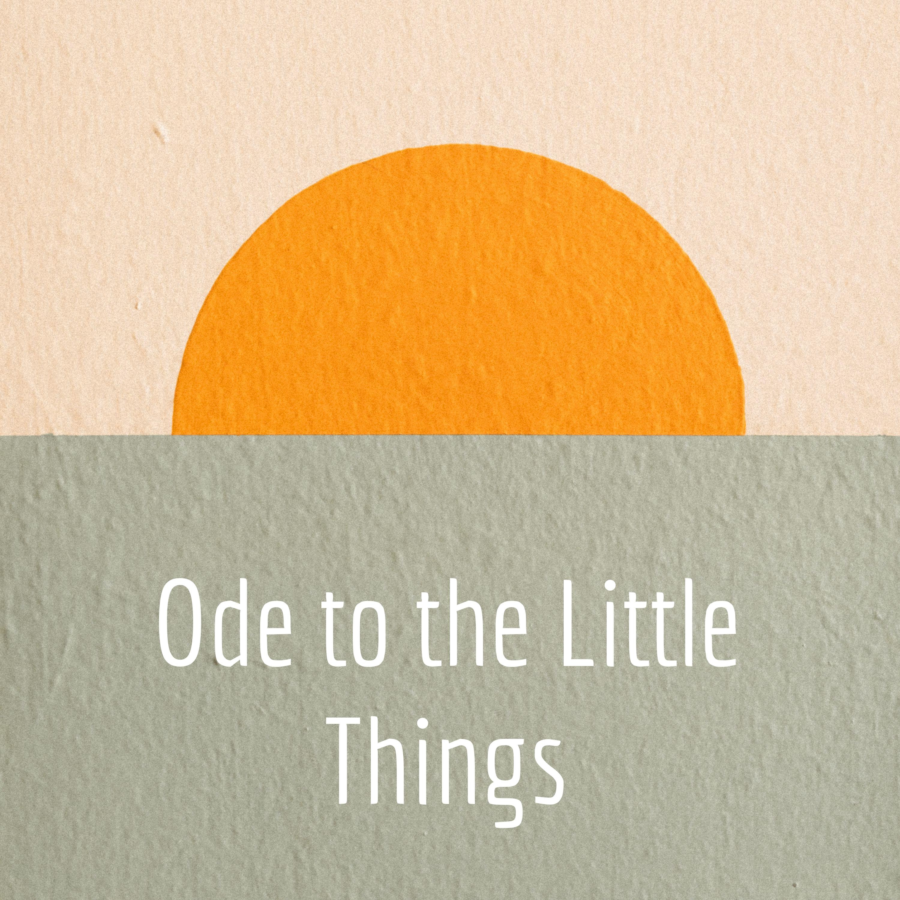 Ode to the Little Things
