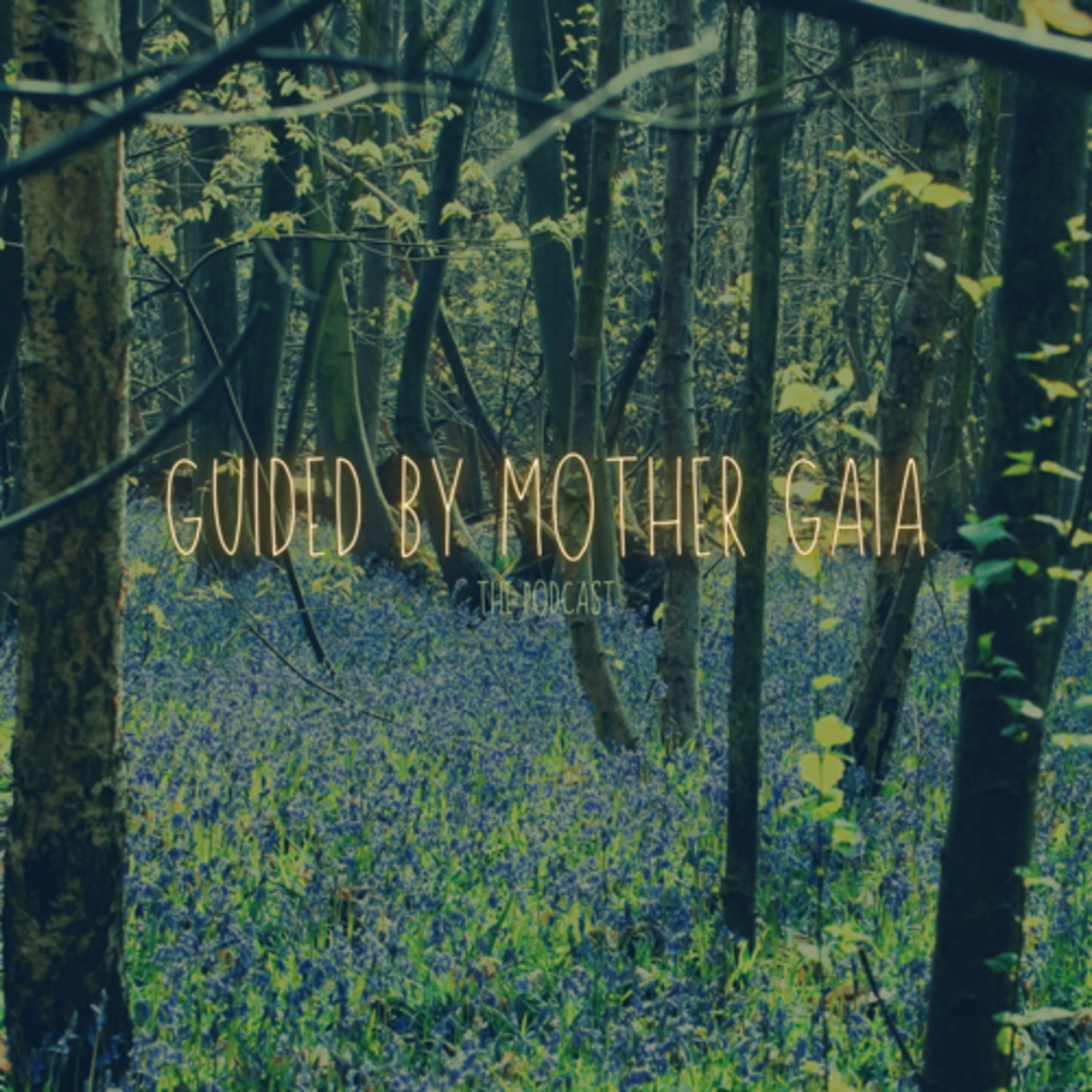 Guided by Mother Gaia 