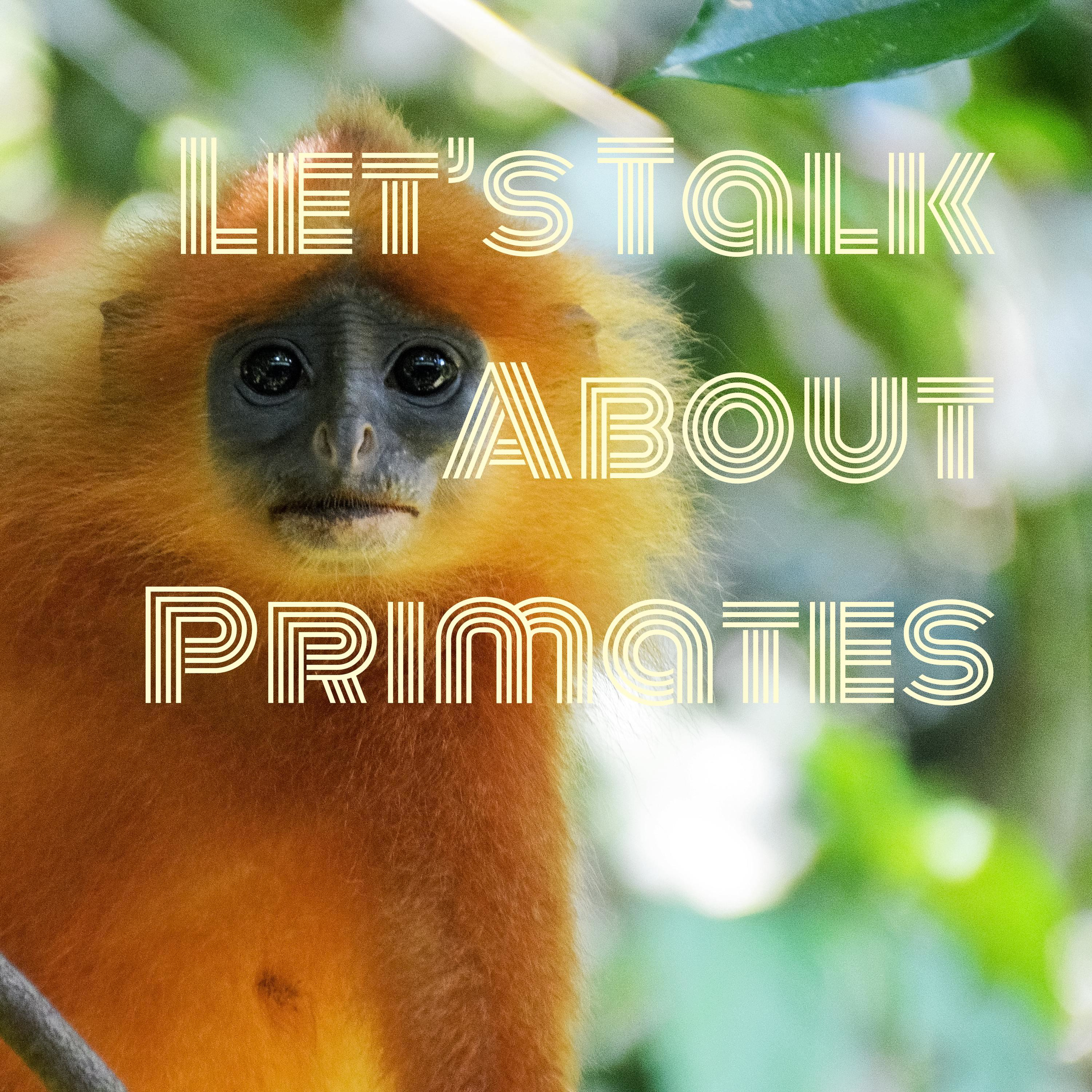 Let’s Talk About Primates
