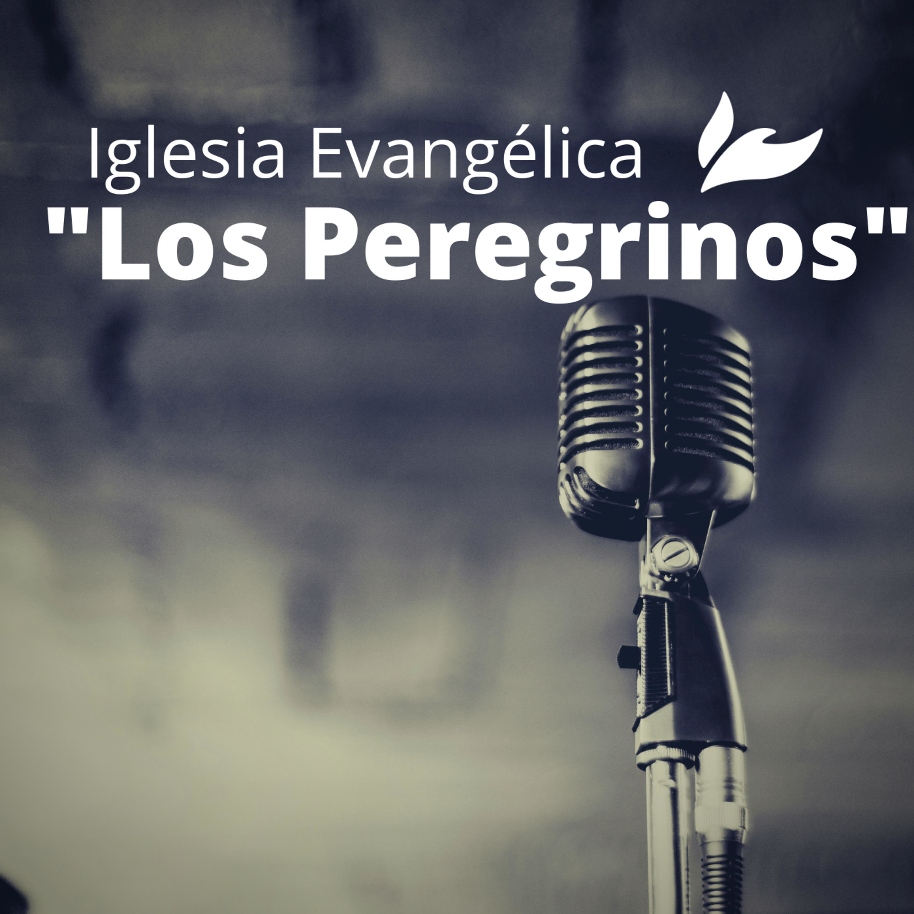 Iglesia Los Peregrinos SLP