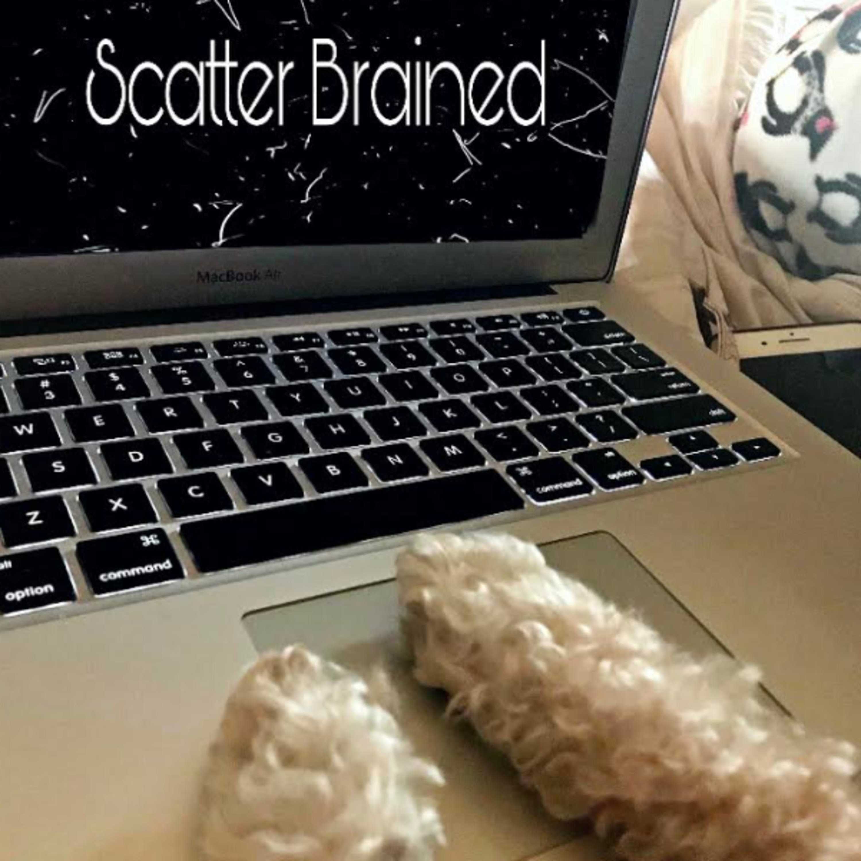 Scatter Brained