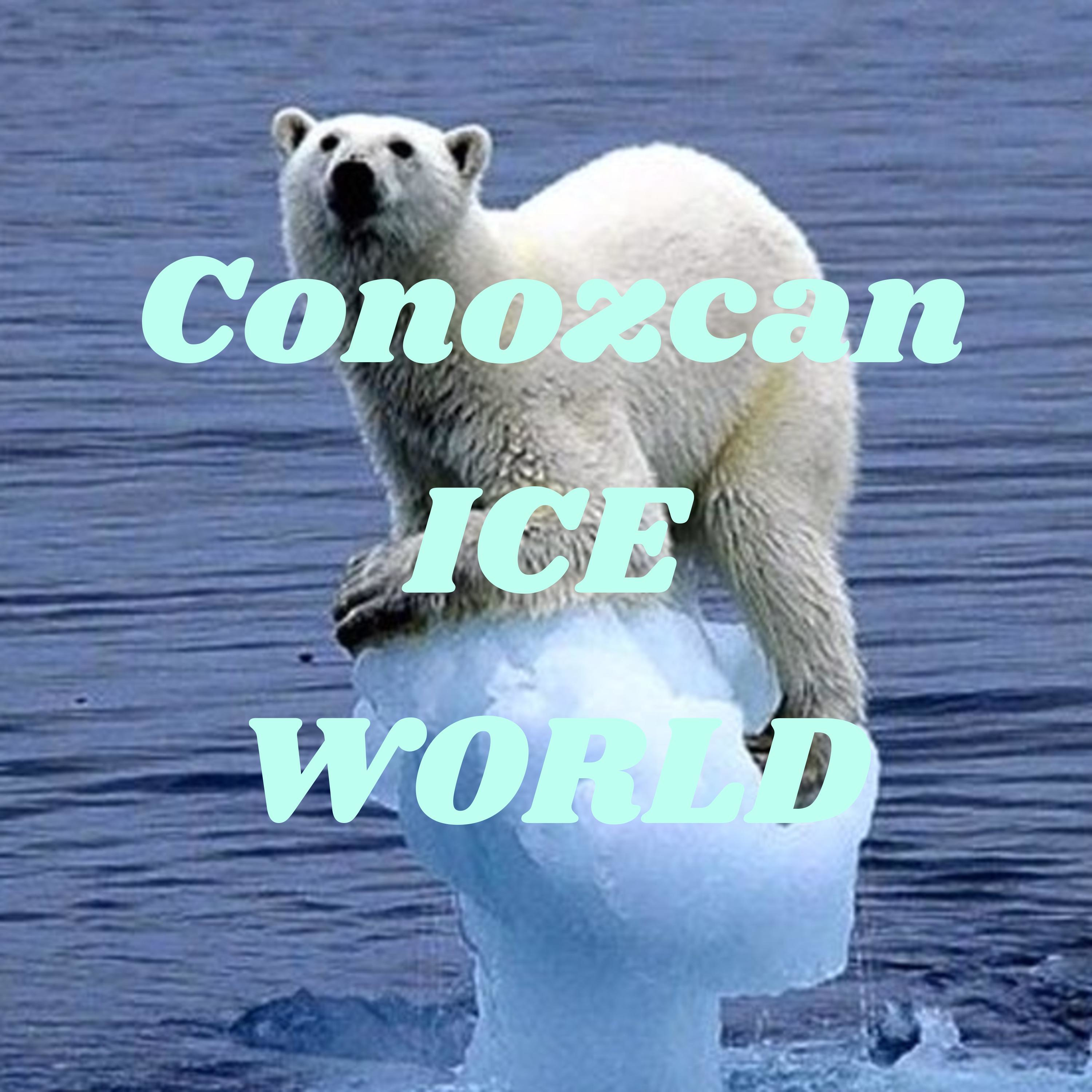 Conozcan ICE WORLD