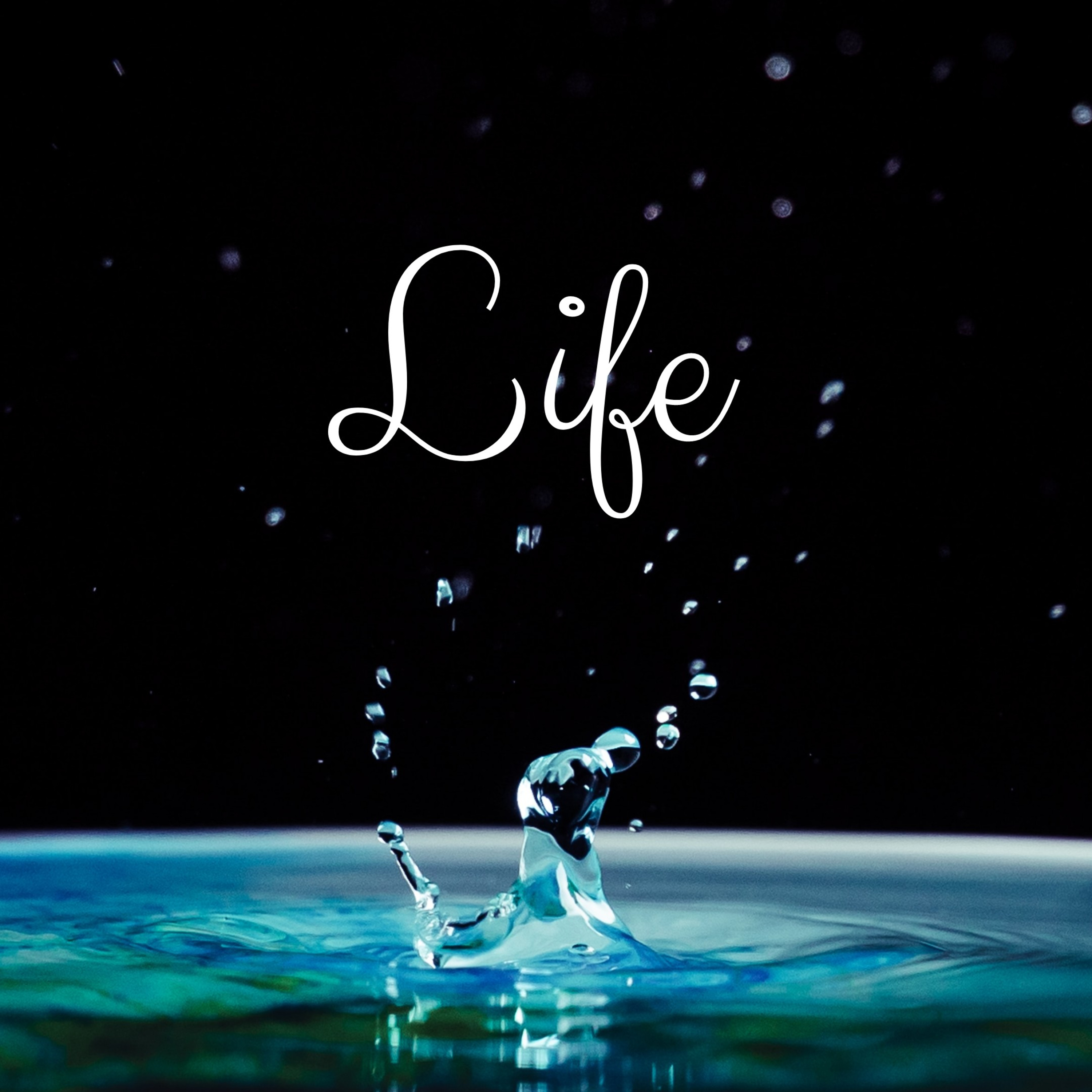 Life