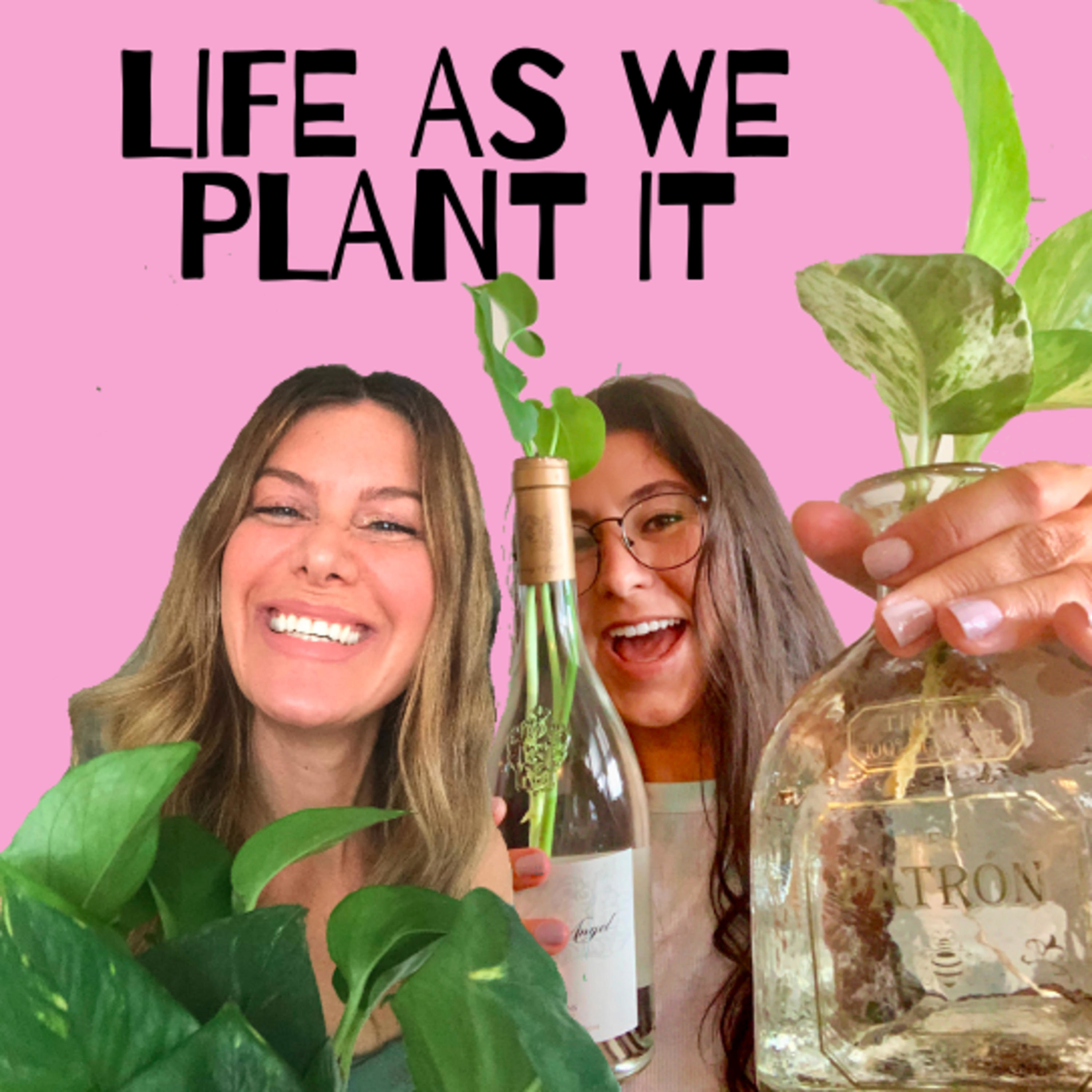 Pets, Plants, Getting in your Pants