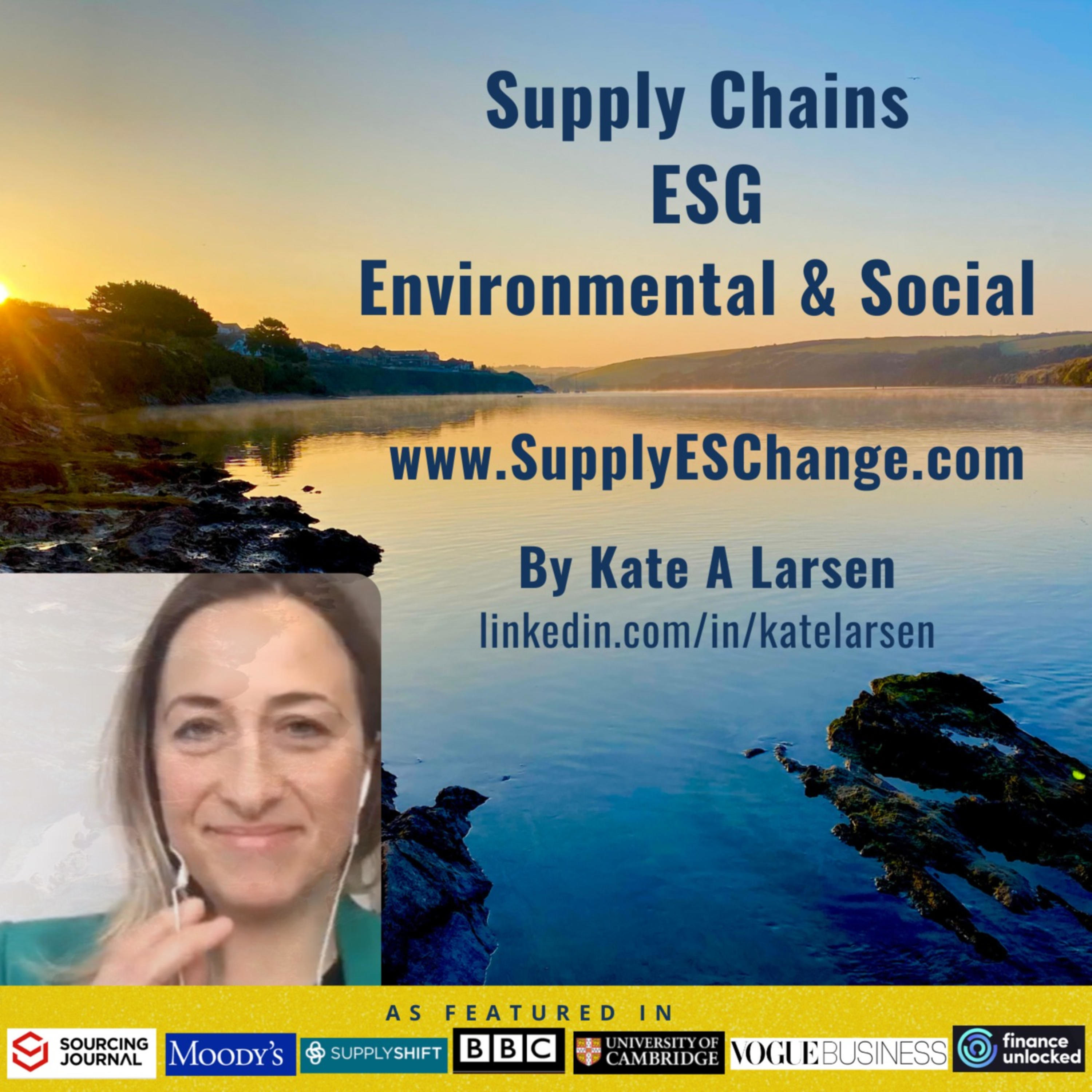 SupplyESChange Social Impact Insights