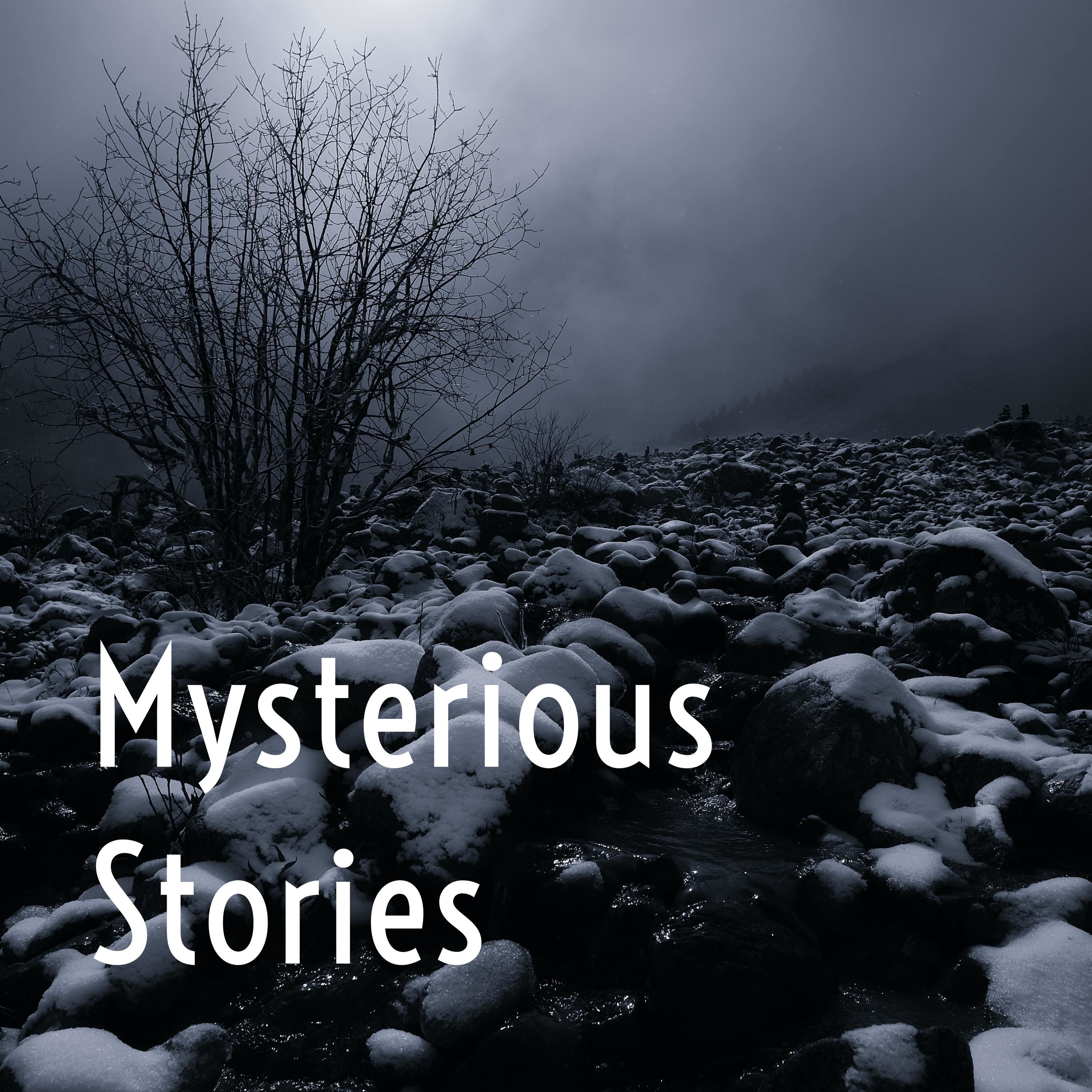 Mysterious Stories Episode 24: Brotherly Revenge (Part 1)
