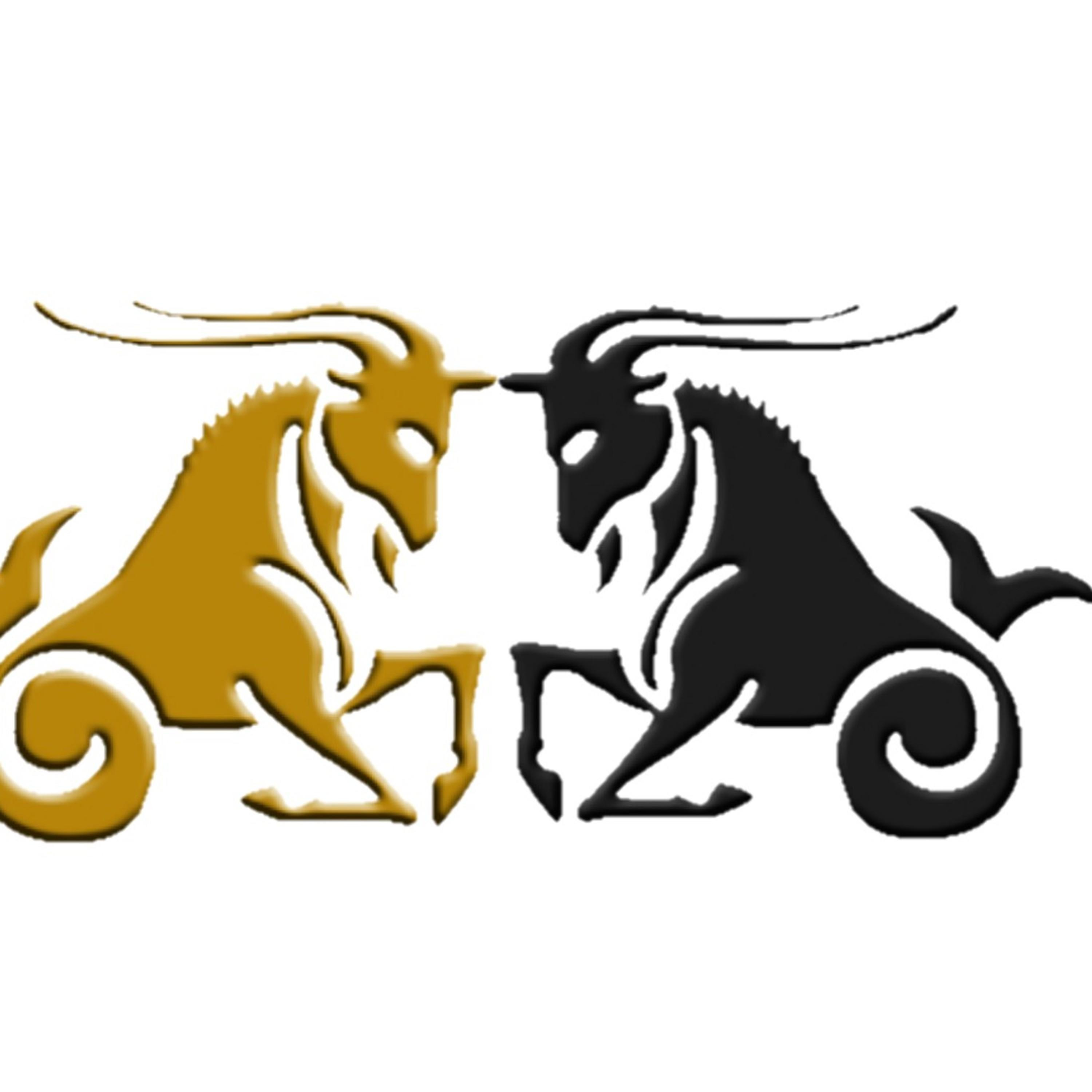 (Men's Point of View) MPV The Game