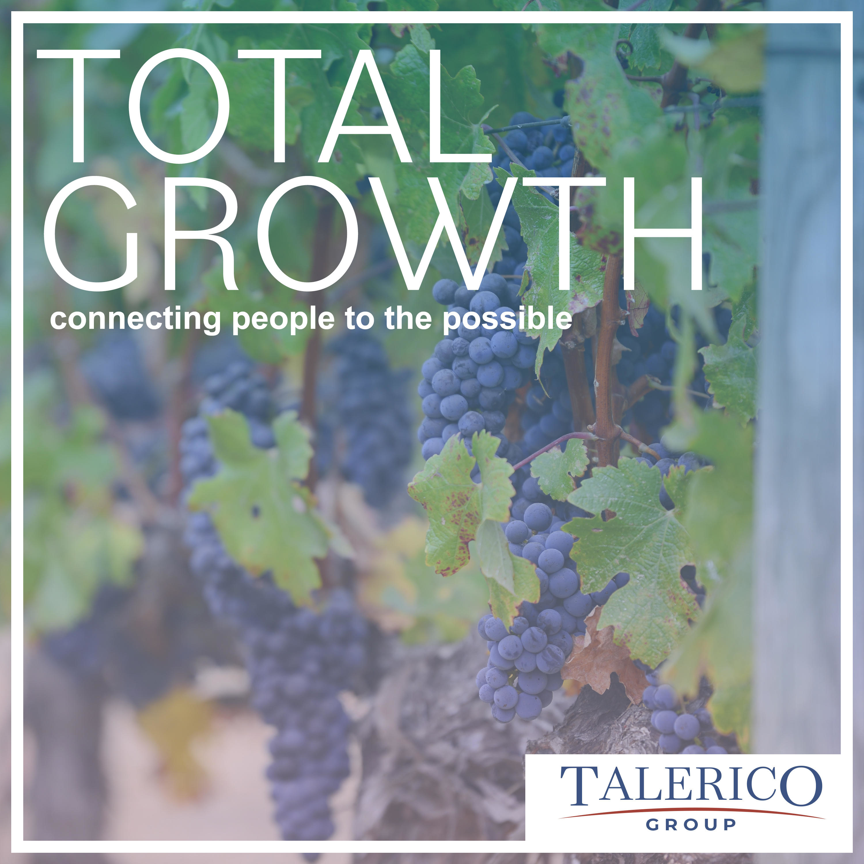 Total Growth Presented By The Talerico Group