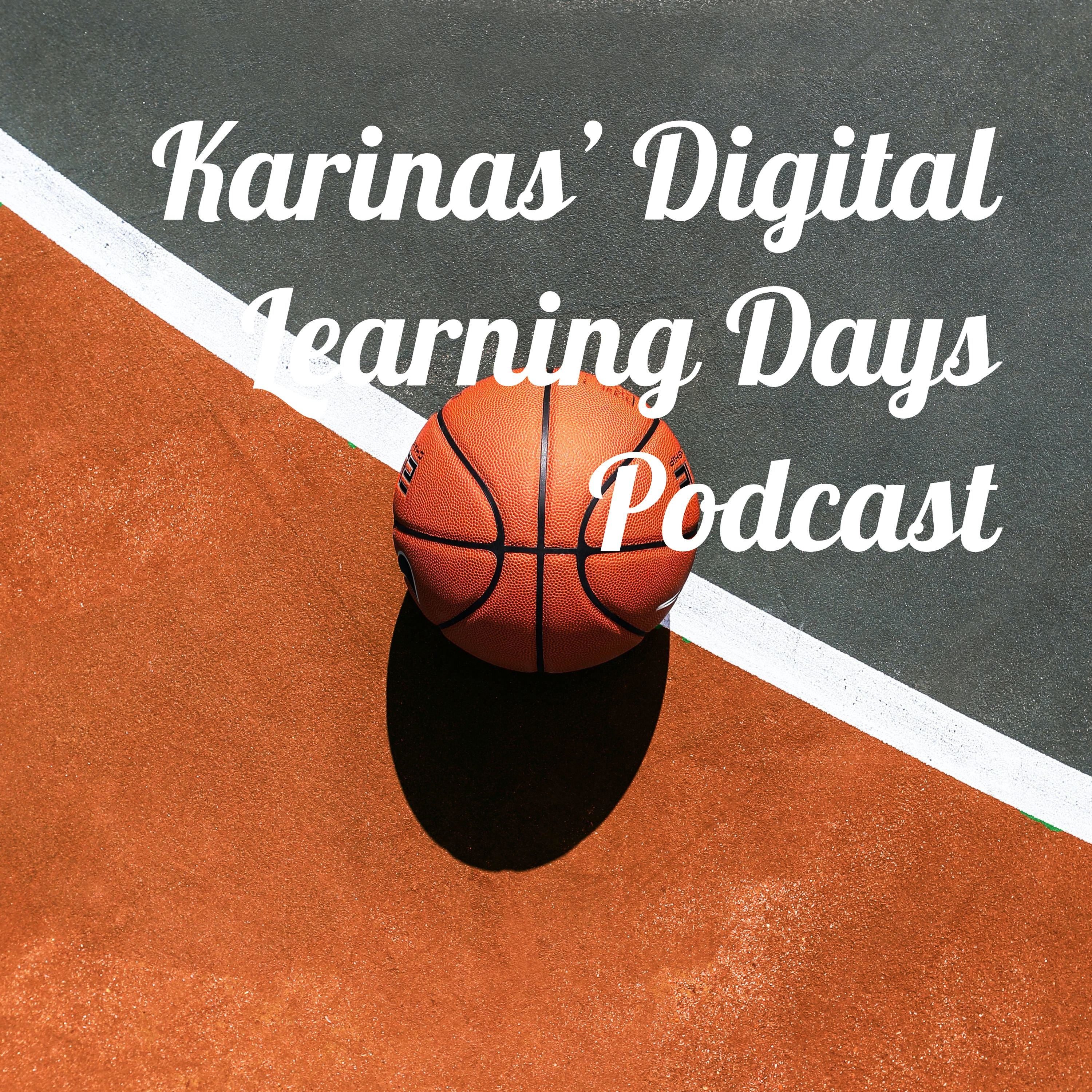 Karinas DLD Work