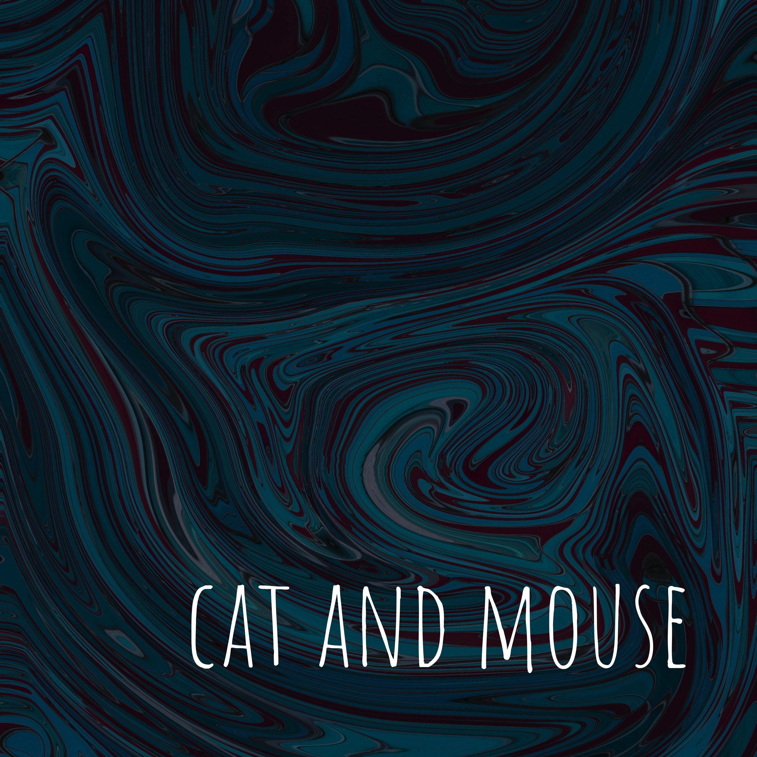 cat and mouse