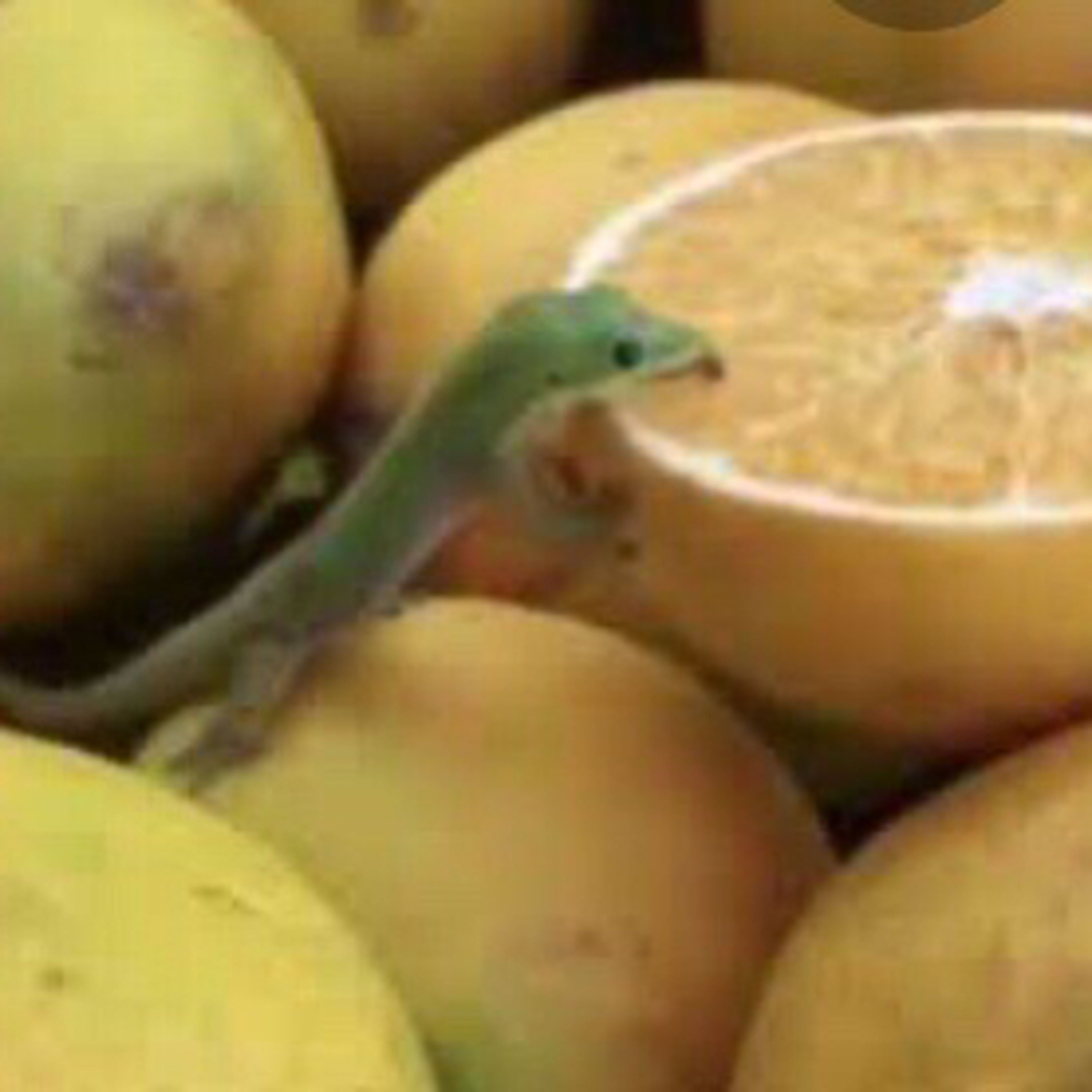 The Boys: Crónicas del Huracán