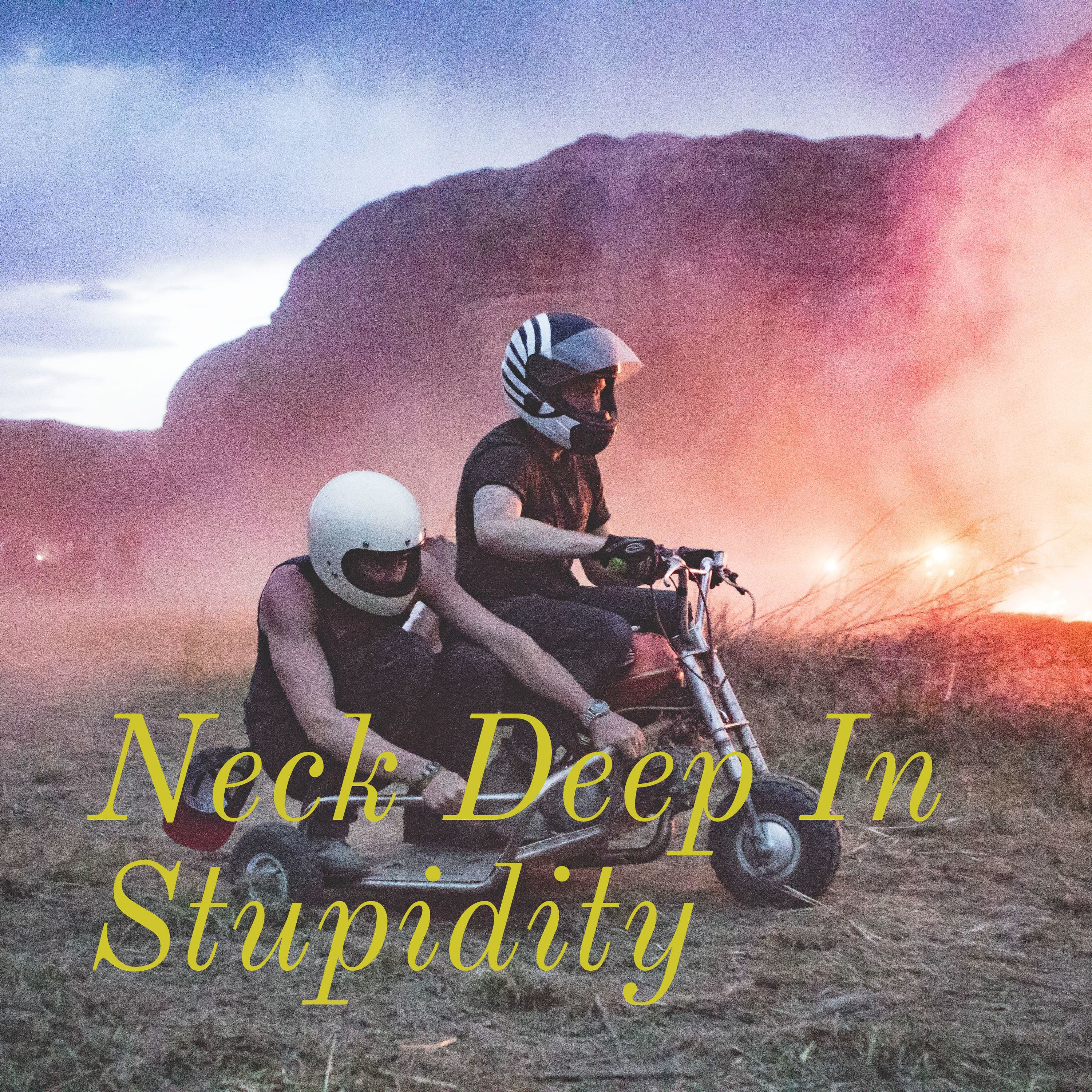 Neck Deep In Stupidity