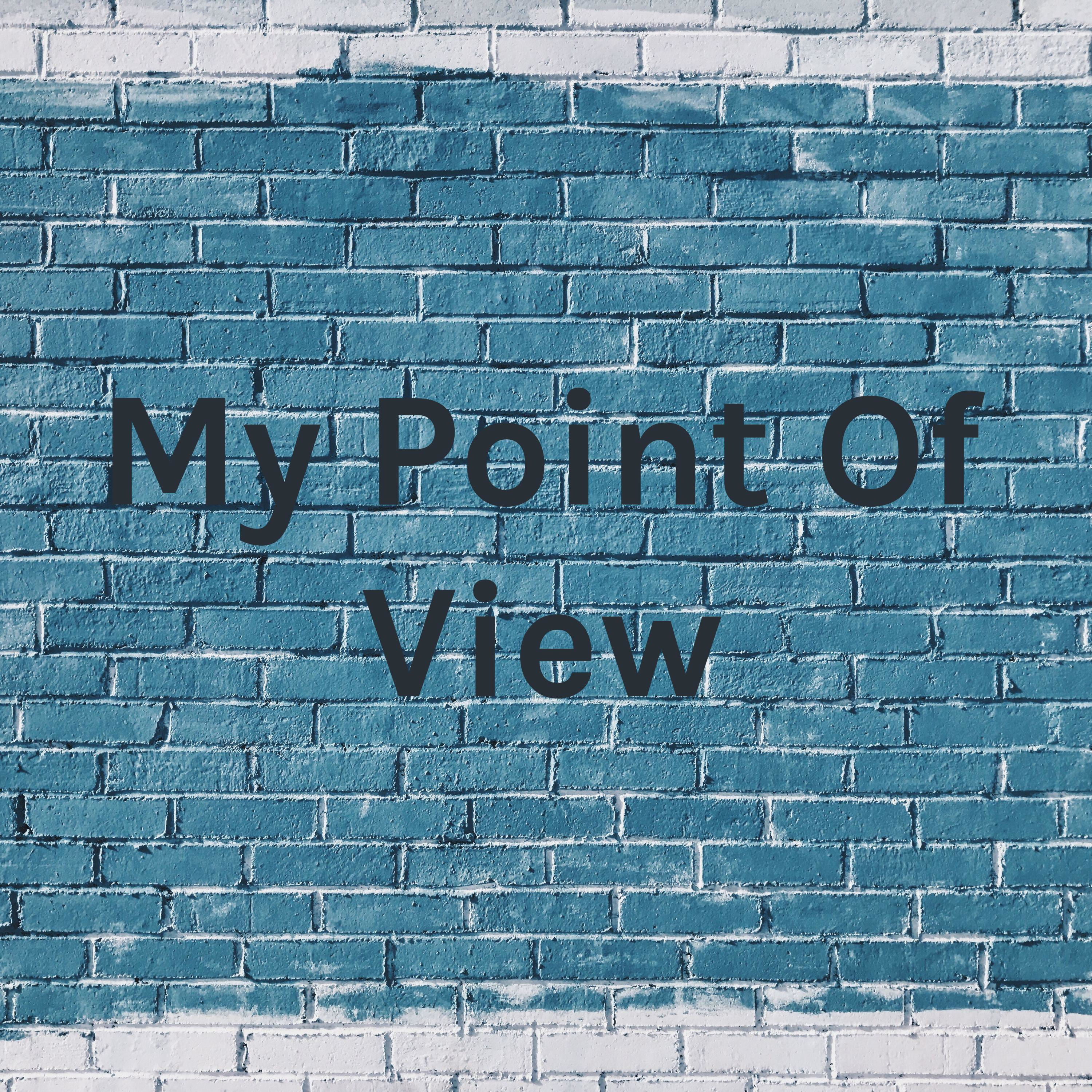 My Point Of View