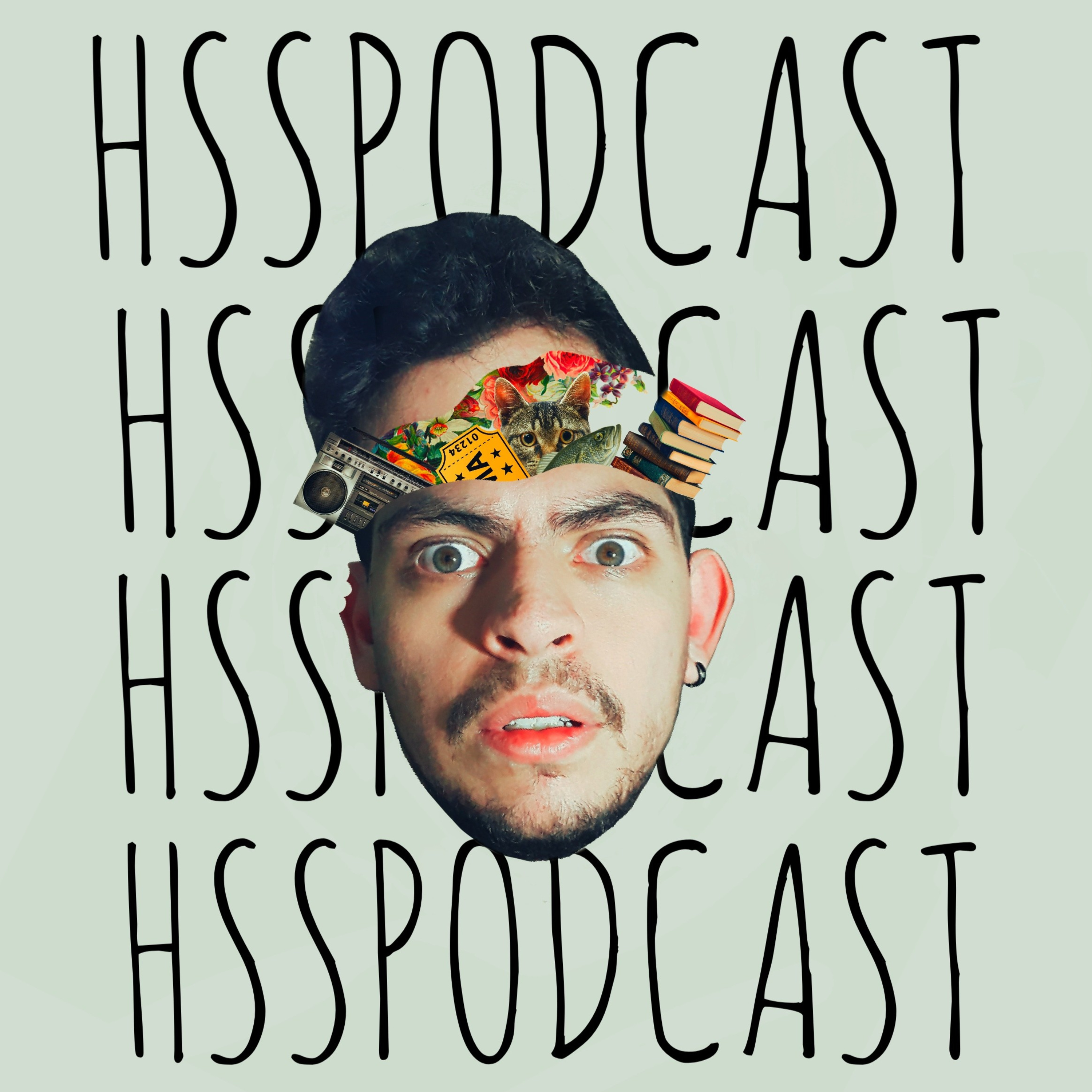 HSSPODCAST