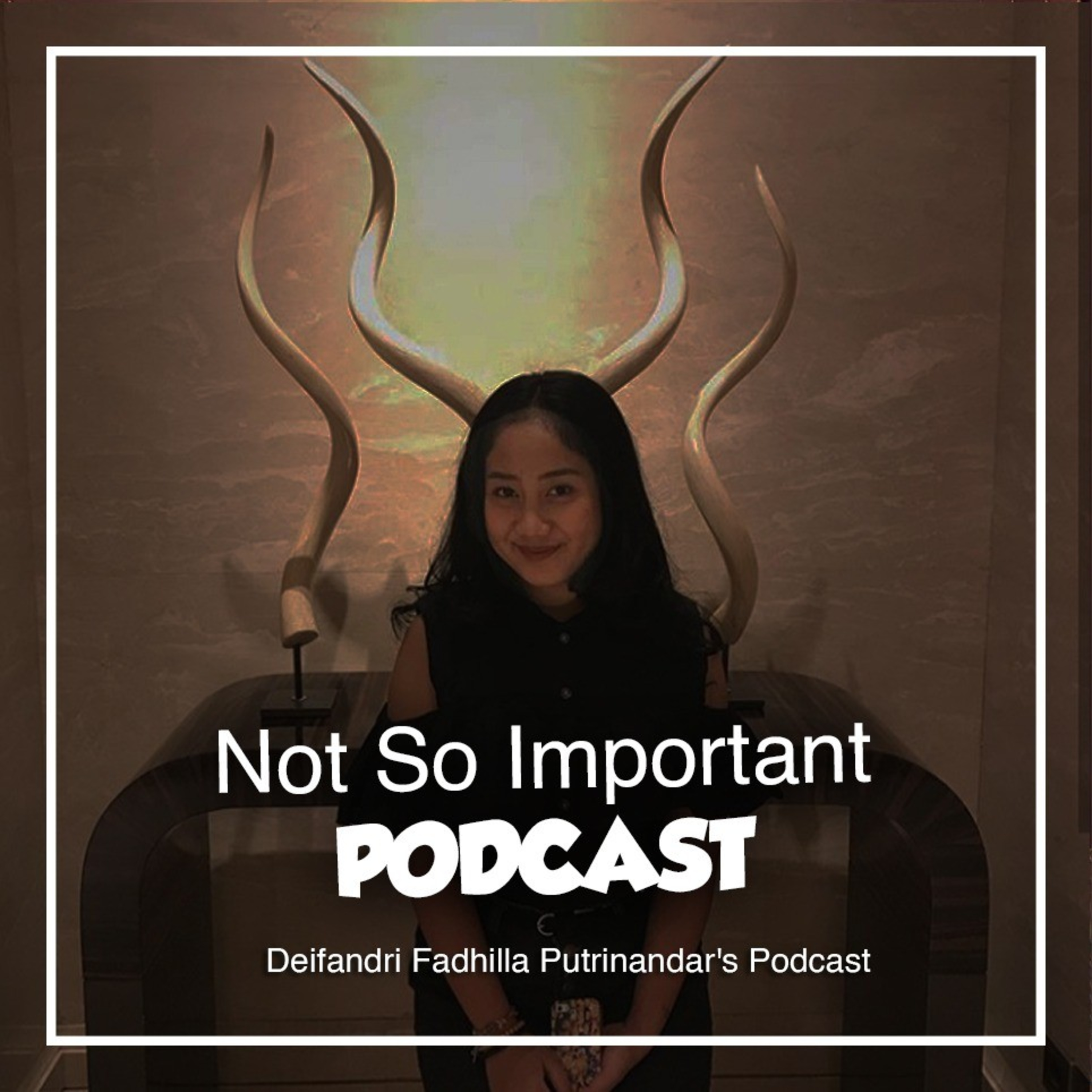 Not So Important Podcast podcast artwork