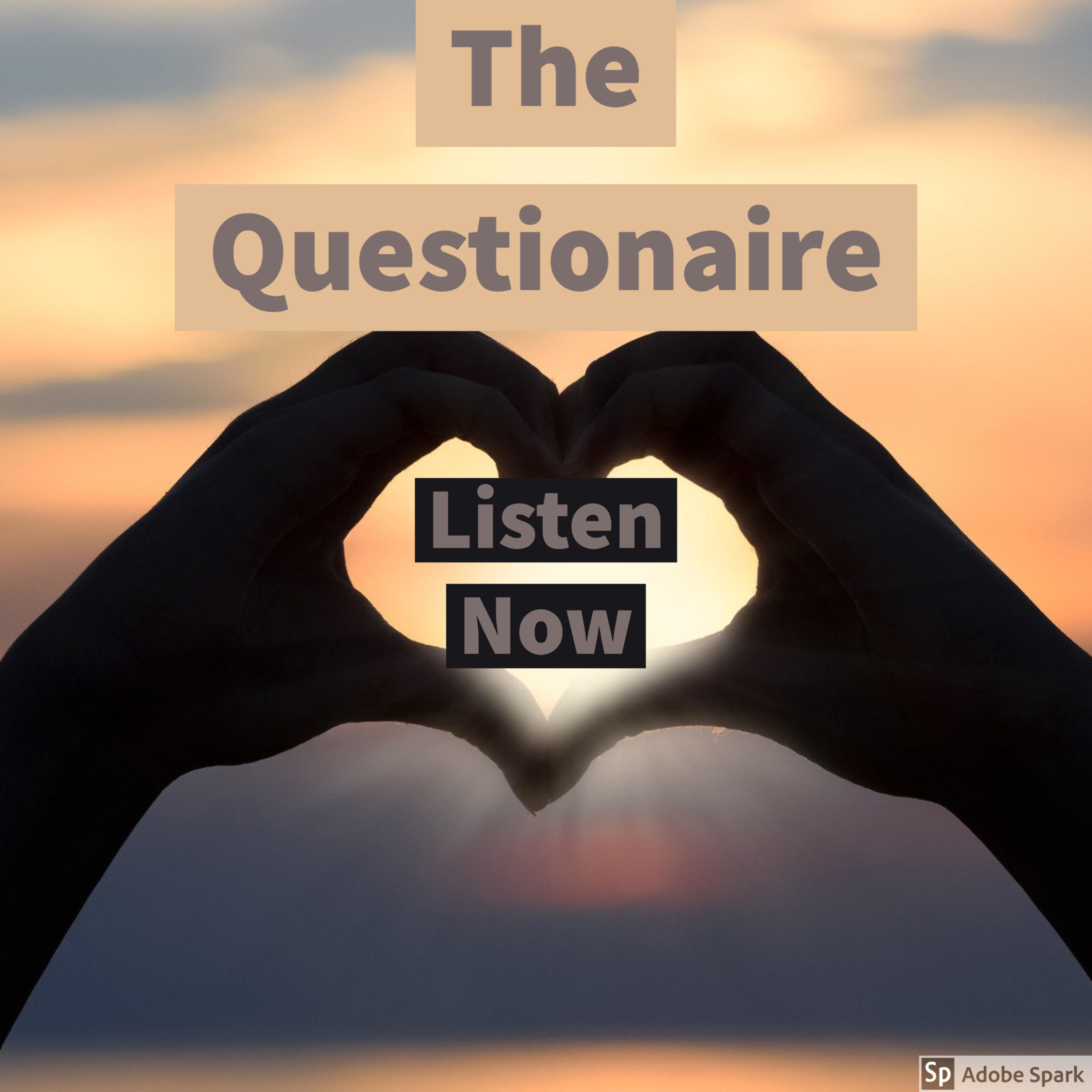The Questionnaire
