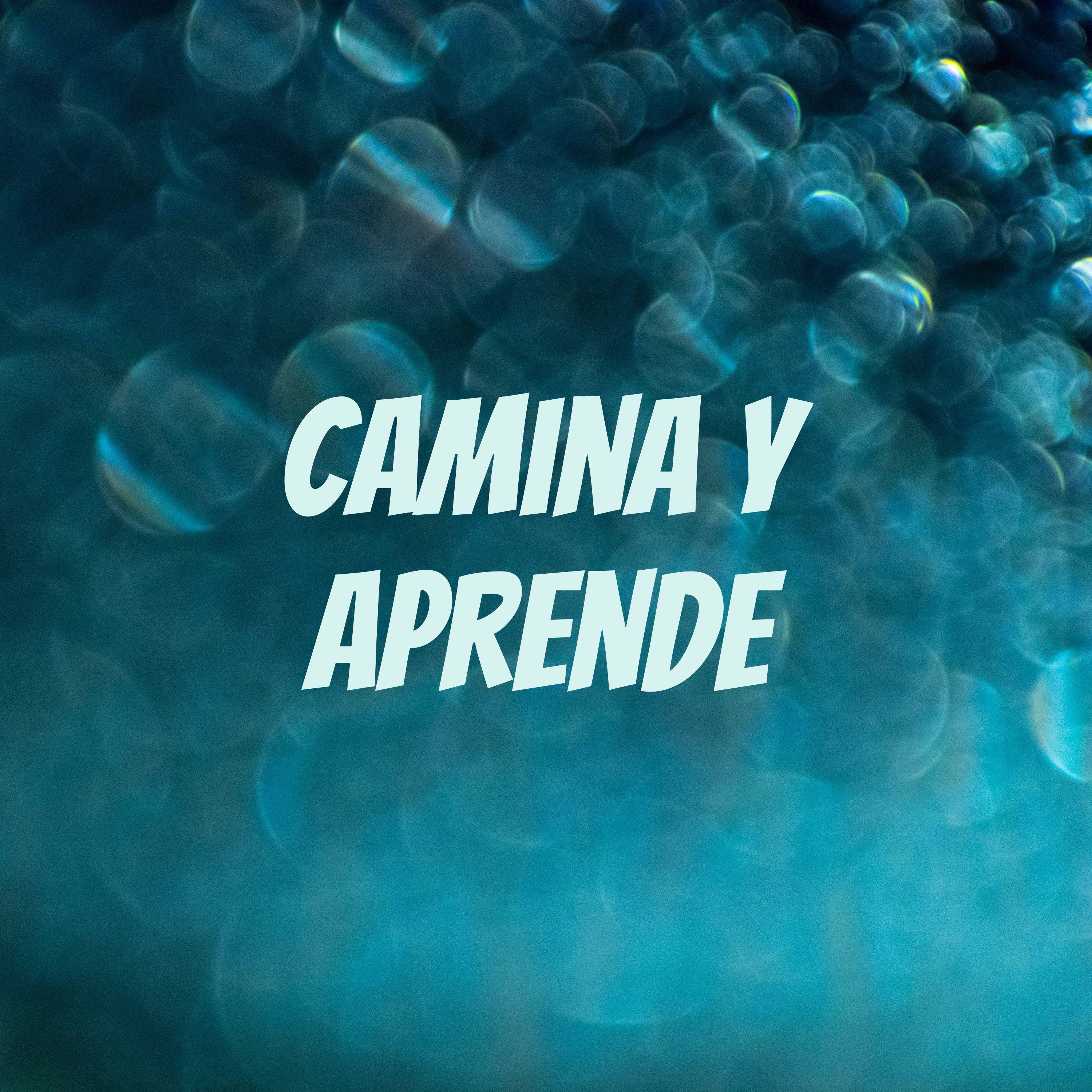 Camina y Aprende