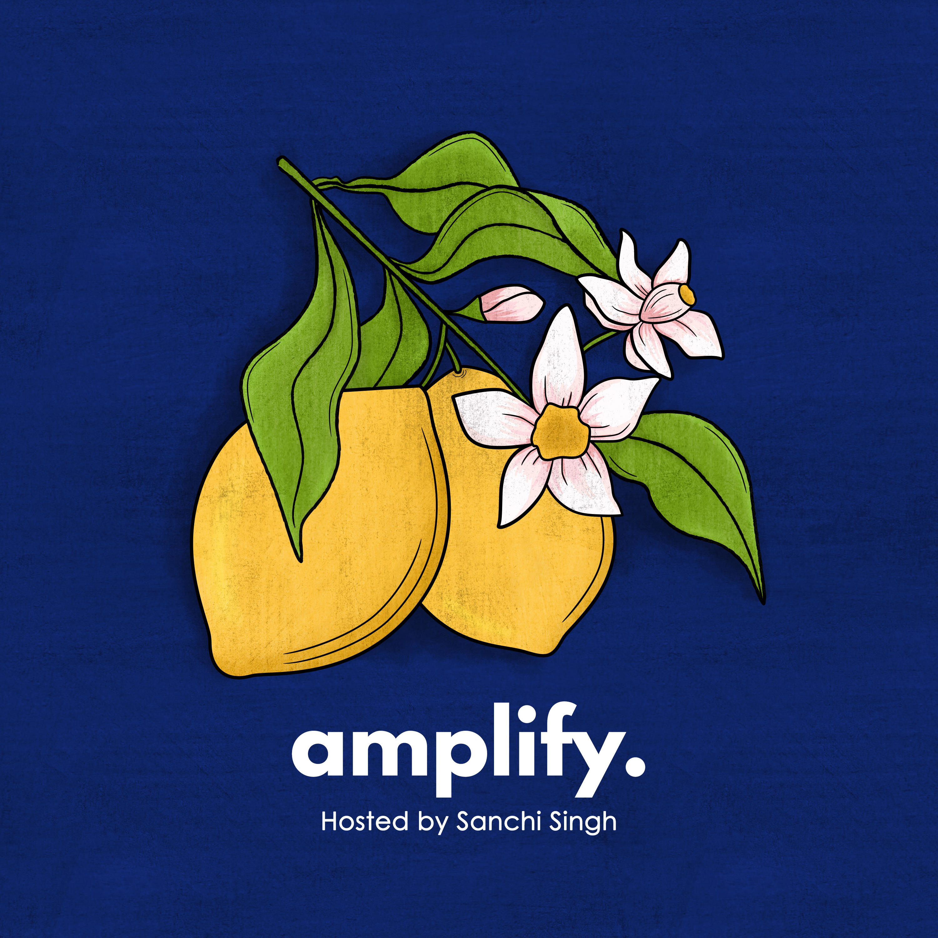 Amplify