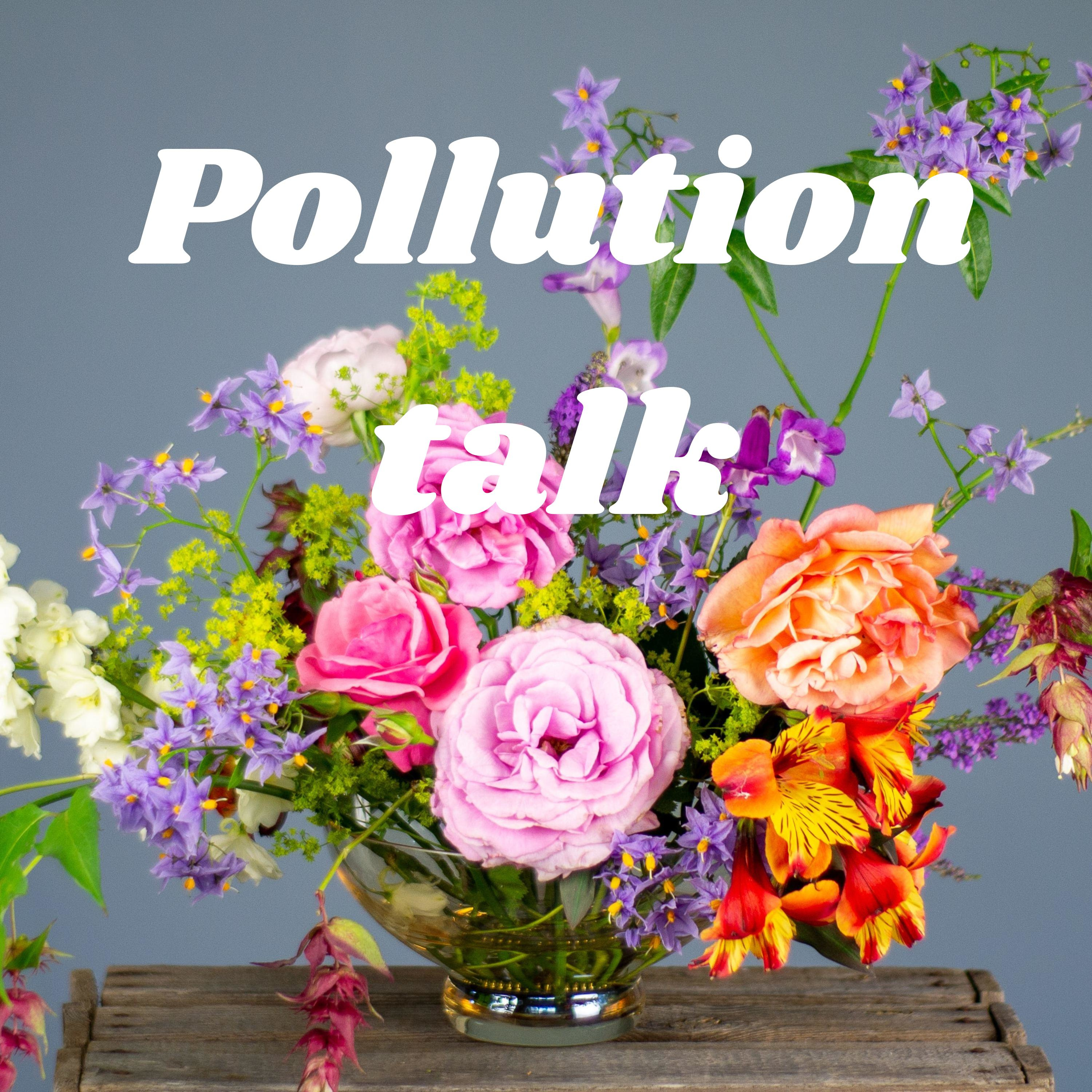 Pollution talk