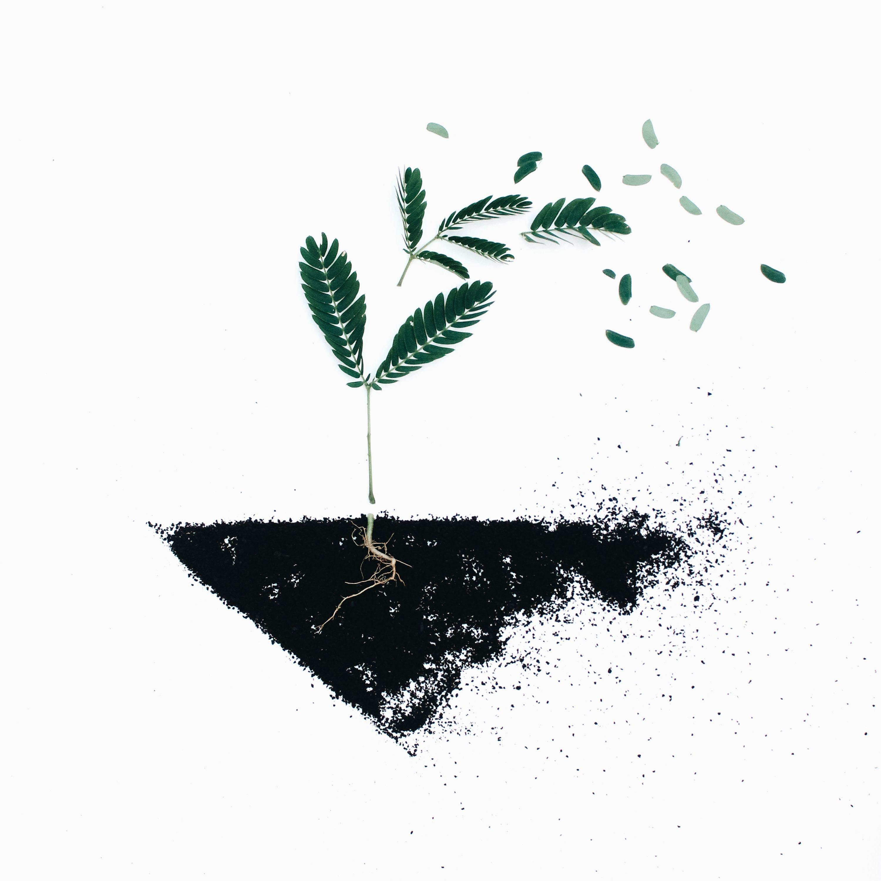 The Pain Gains Podcast - Lessons for Wellbeing