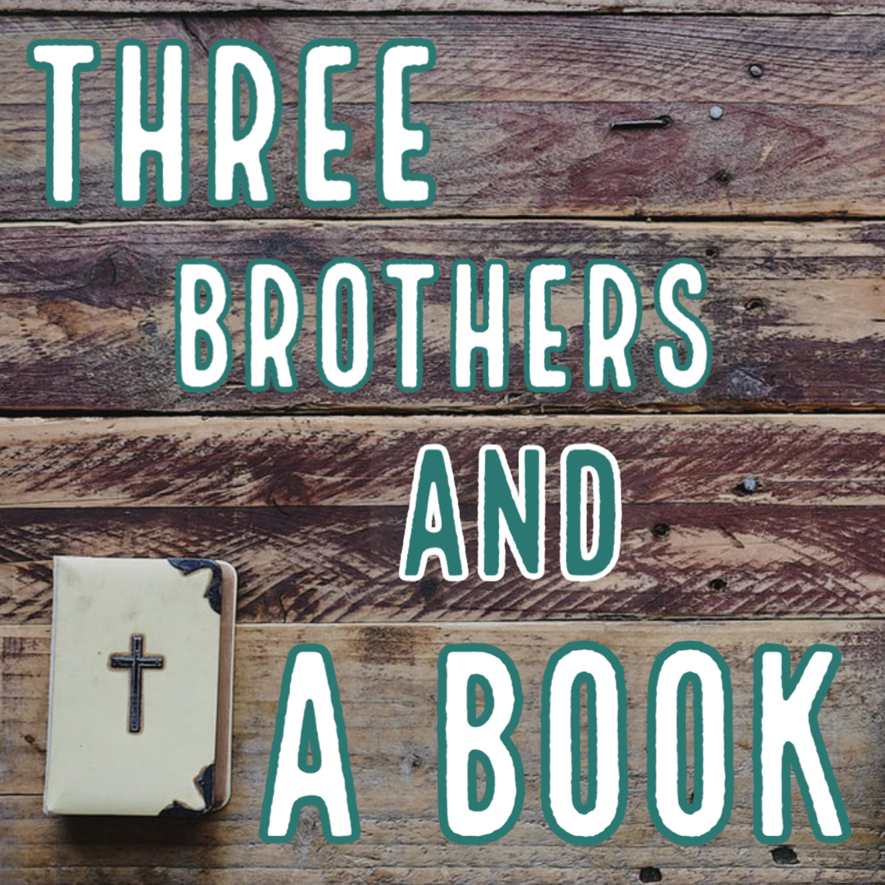 Three Brothers and a Book
