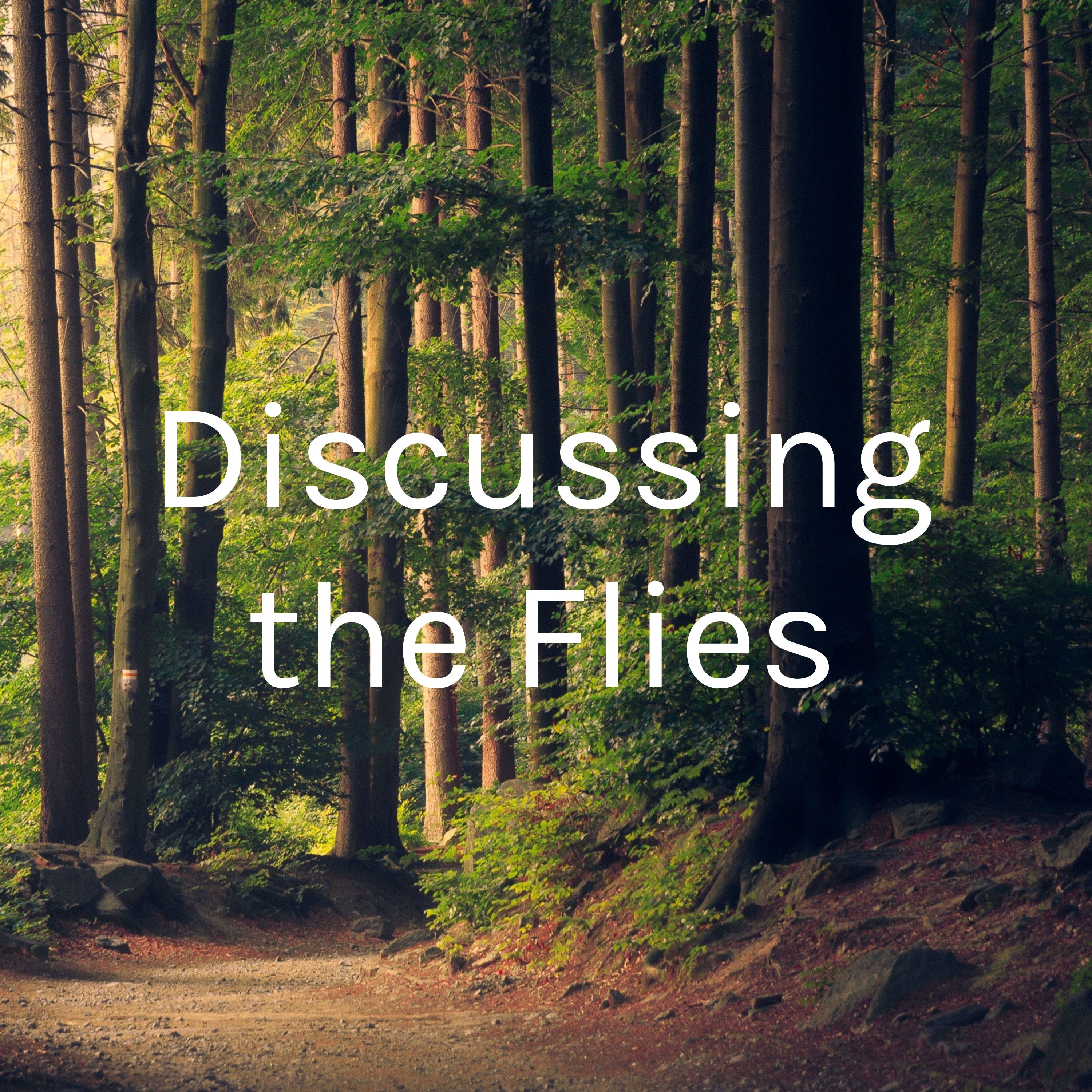 Discussing the Flies